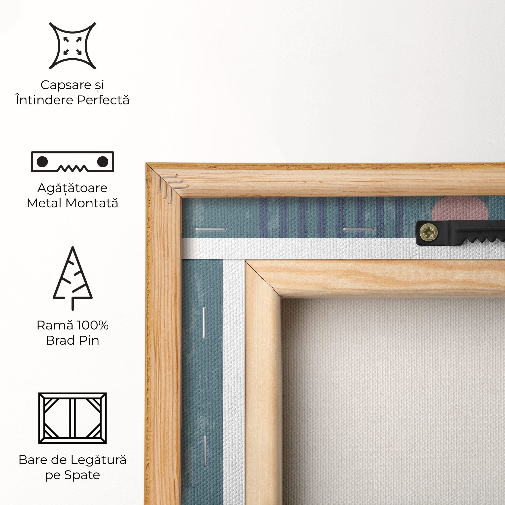 Pink Circle On Blue mockup 5