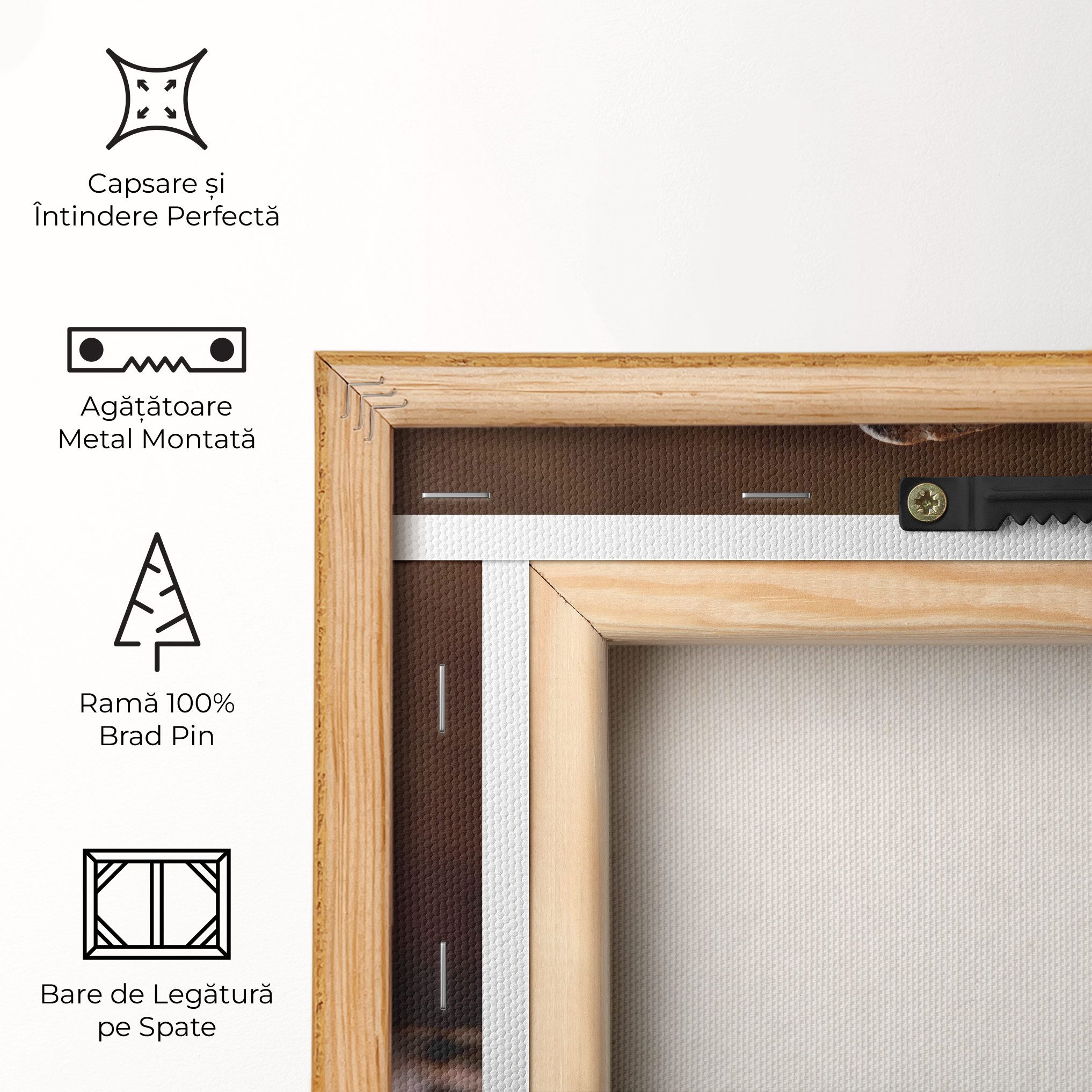 Close Up Falling Beans mockup 5