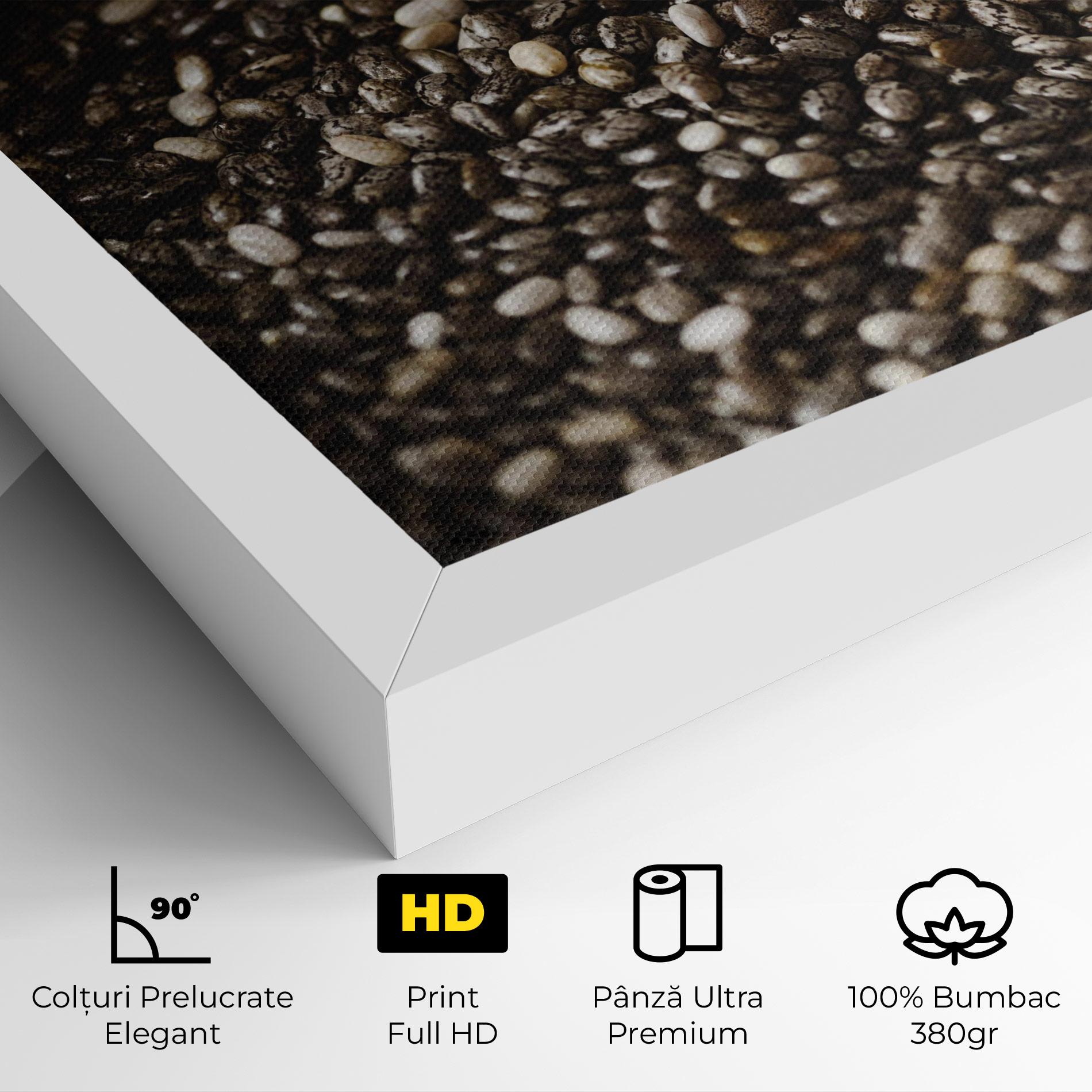 Tablou Canvas Organic Seeds mockup 4