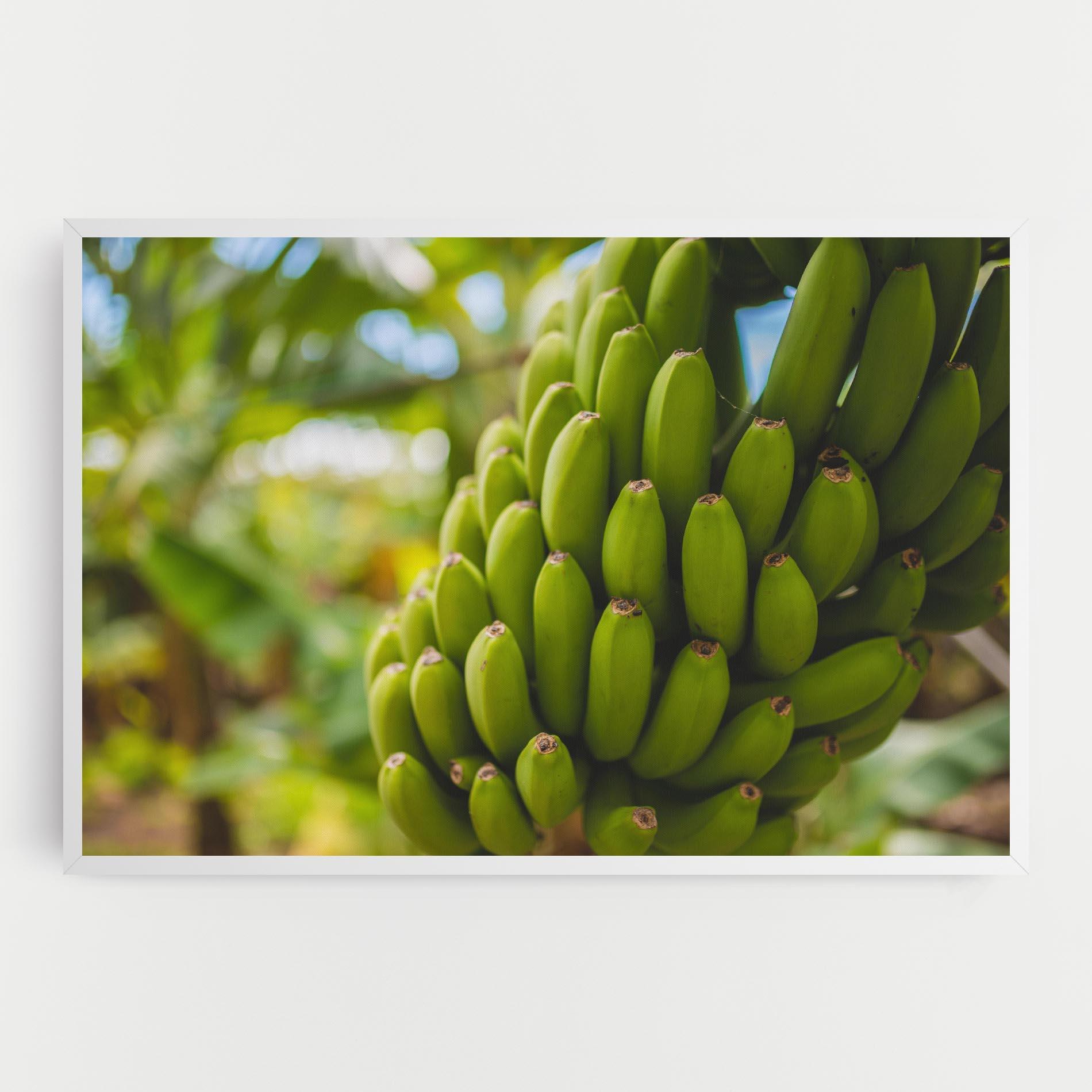 Tablou Canvas Green Banana mockup 0