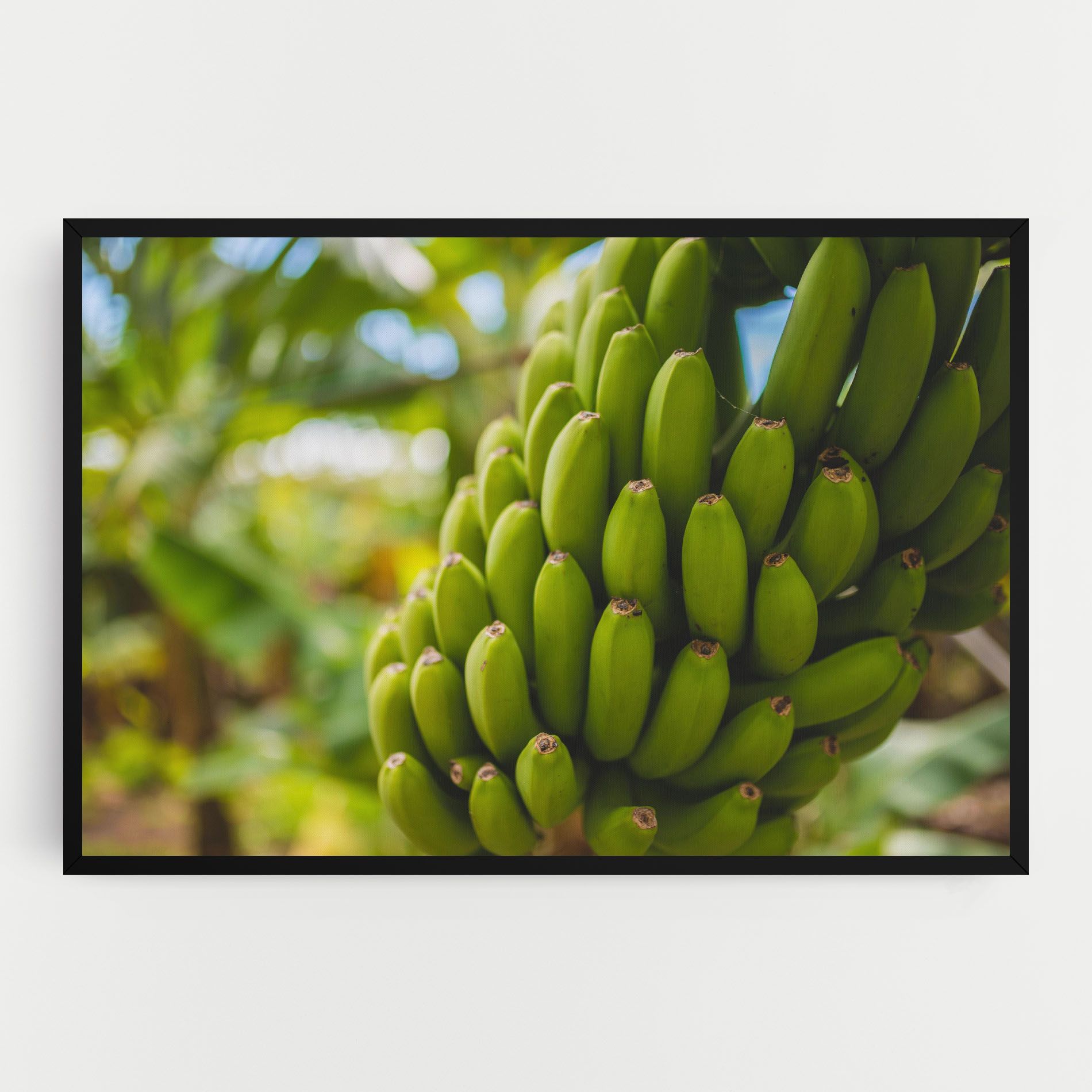 Green Banana mockup 0