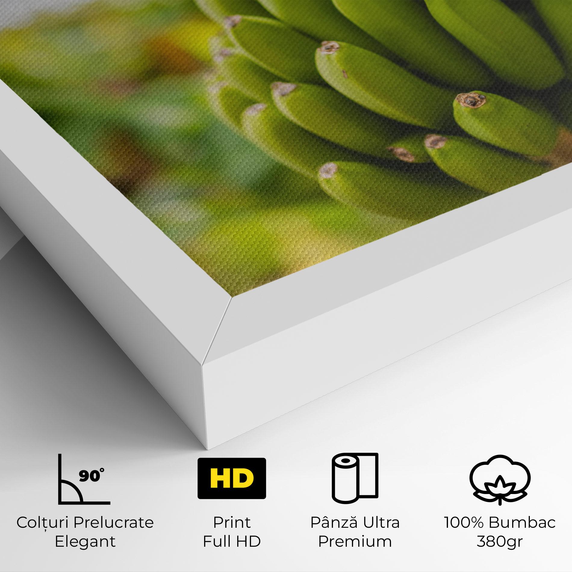Tablou Canvas Green Banana mockup 4
