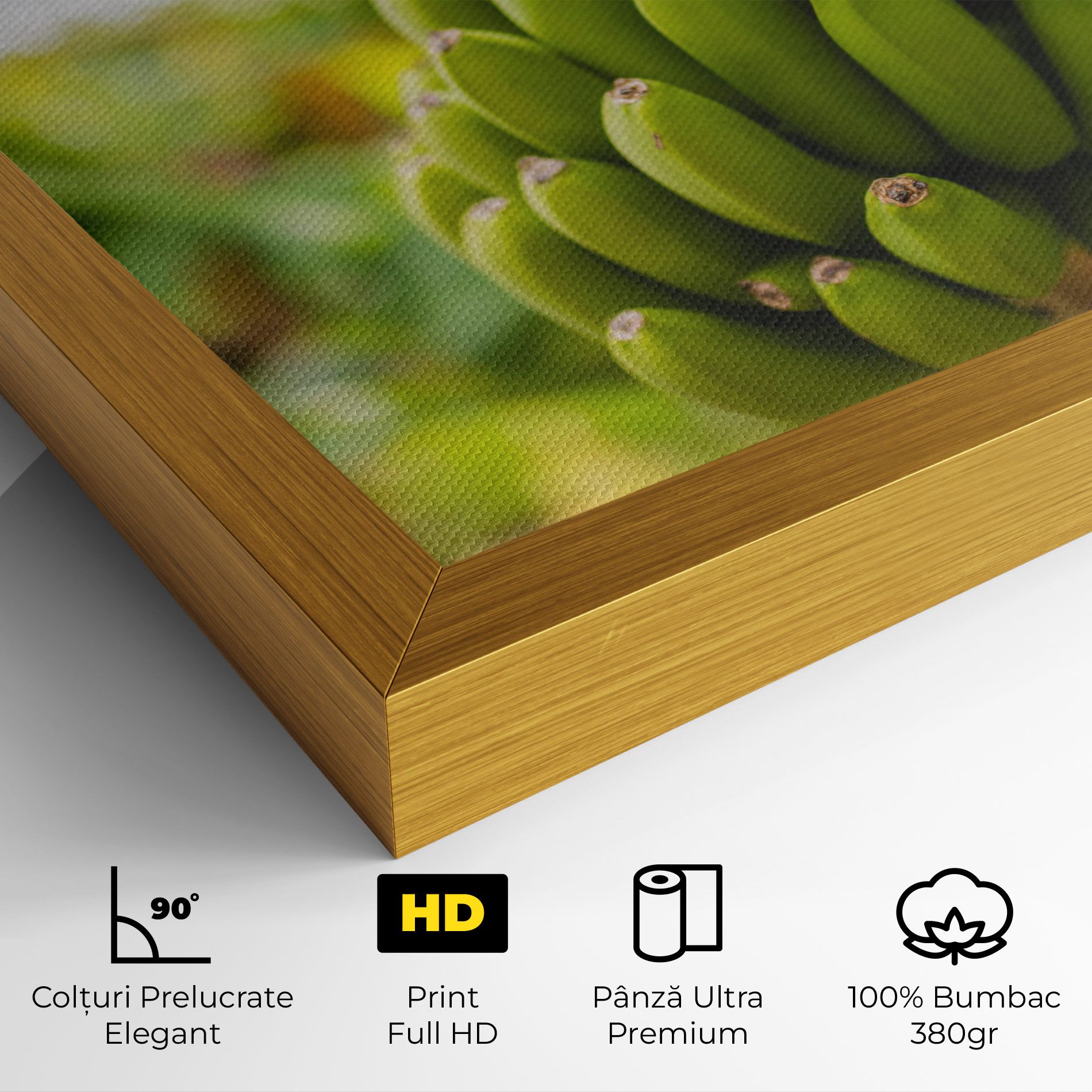 Green Banana mockup 4