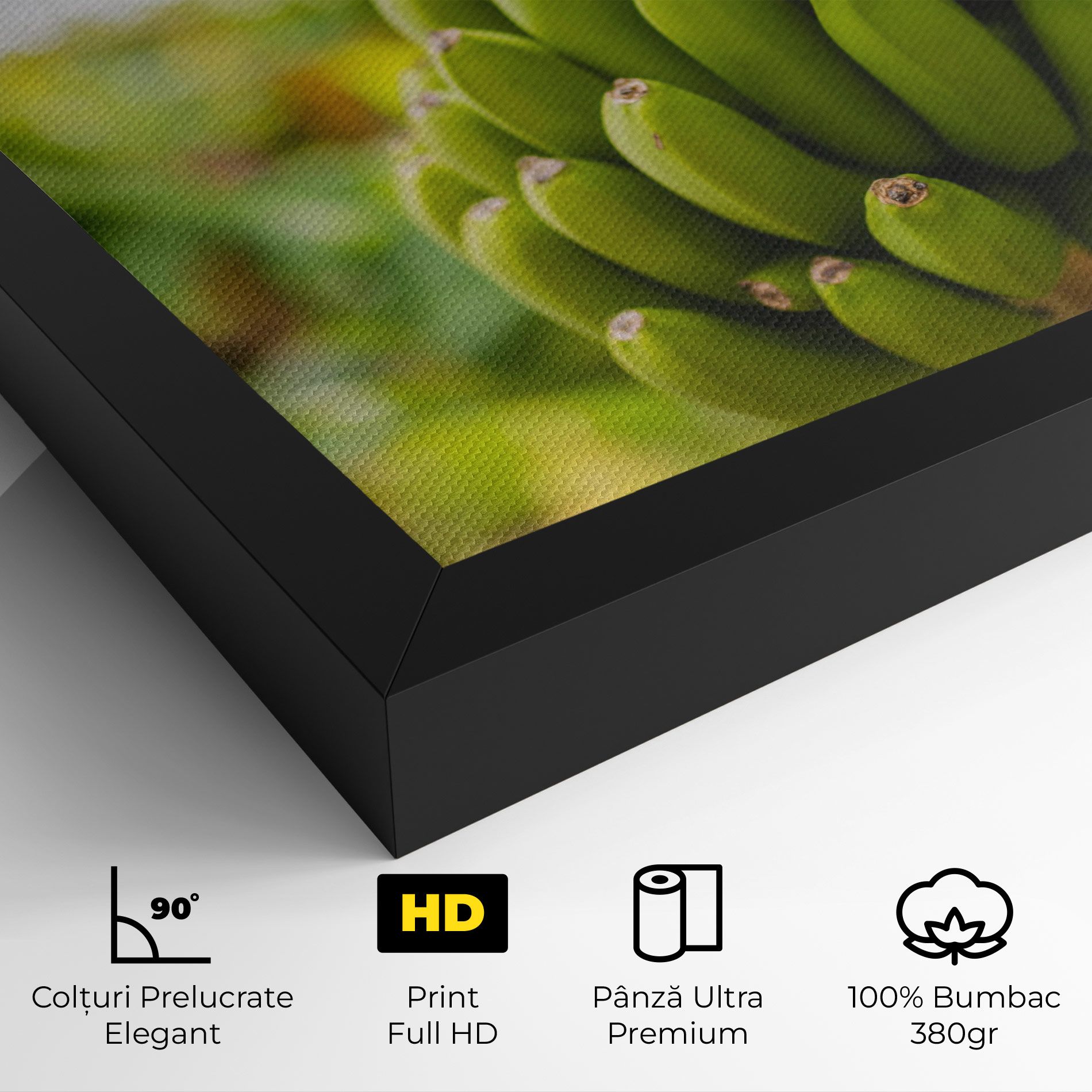 Green Banana mockup 4