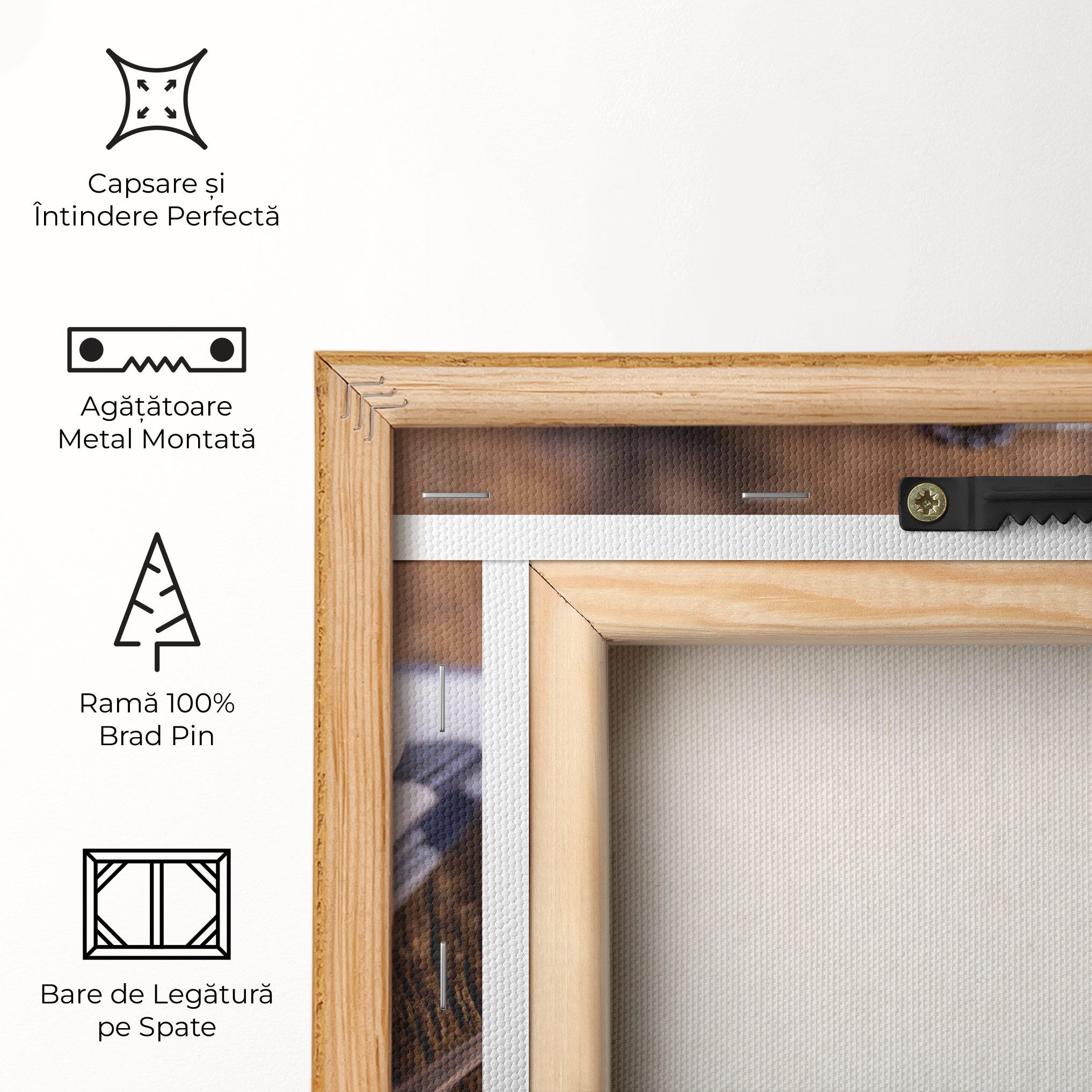 Fruit Salad mockup 5