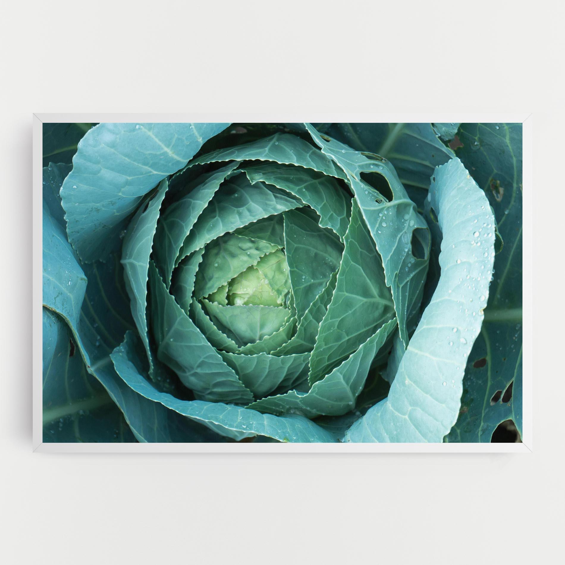 Tablou Canvas Blue Lettuce mockup 0
