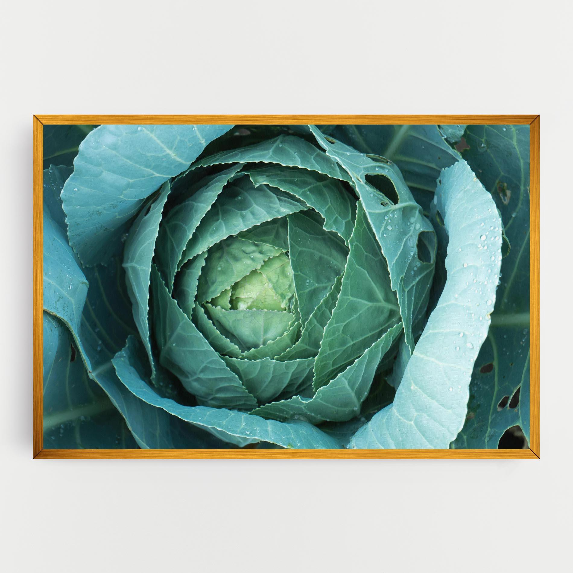 Tablou Canvas Blue Lettuce mockup 0