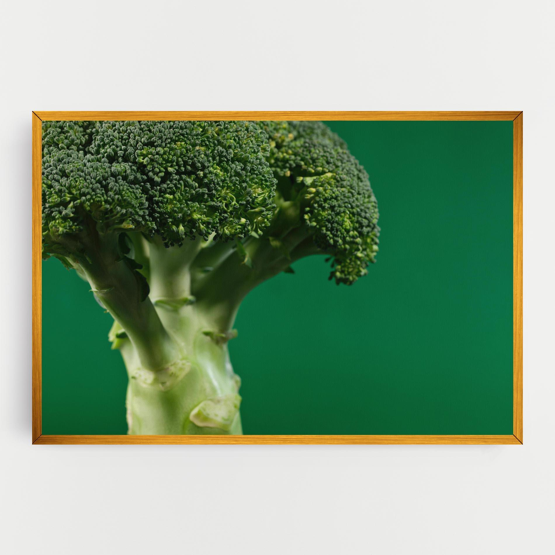 Tablou Canvas Broccoli mockup 0