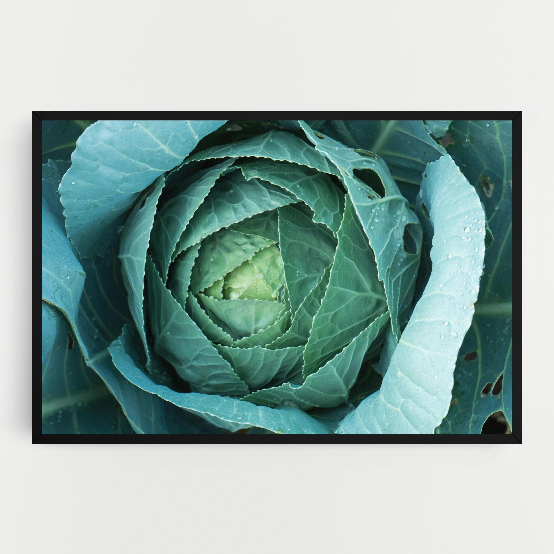 Tablou Canvas Blue Lettuce mockup 0