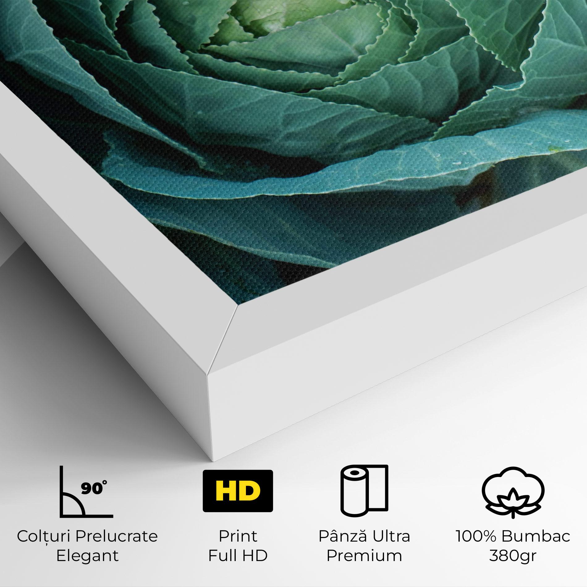 Tablou Canvas Blue Lettuce mockup 4