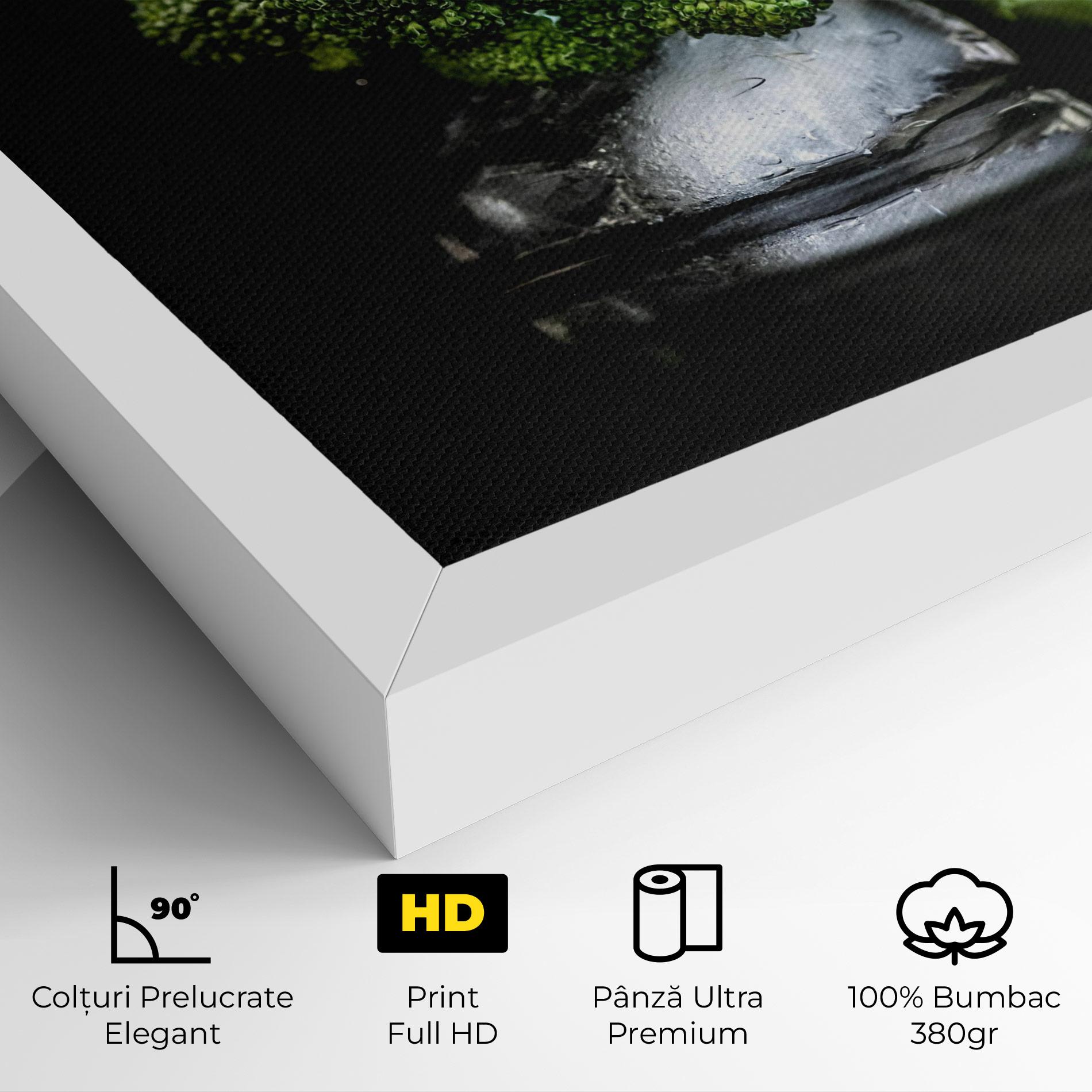 Tablou Canvas Broccoli Water mockup 4