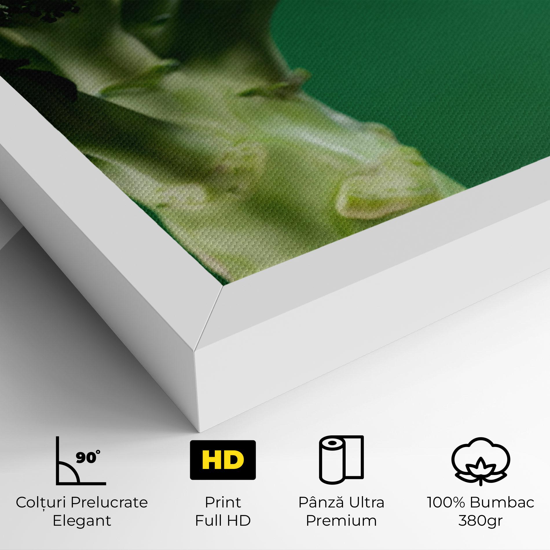 Tablou Canvas Broccoli mockup 4