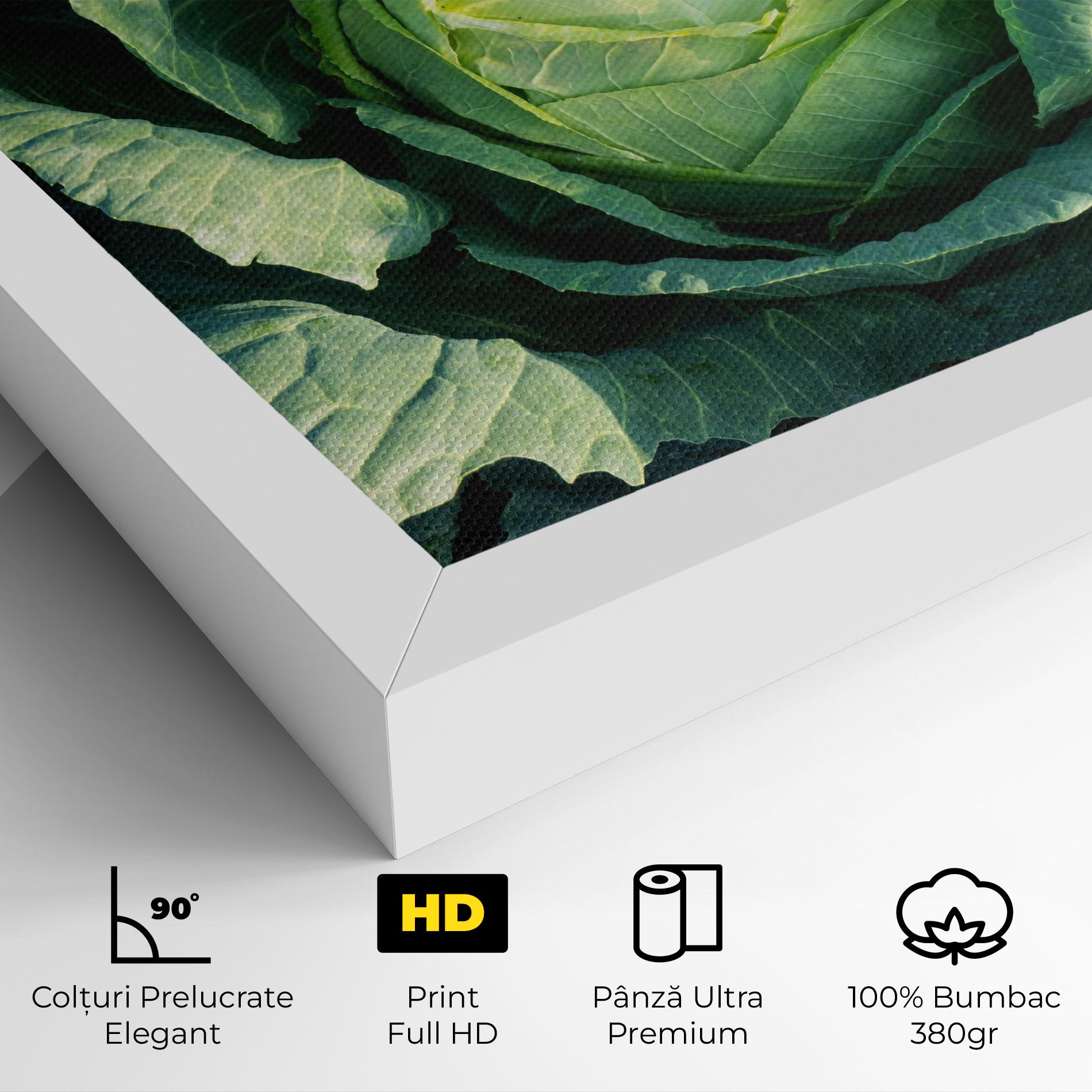 Tablou Canvas Green Lettuce mockup 4