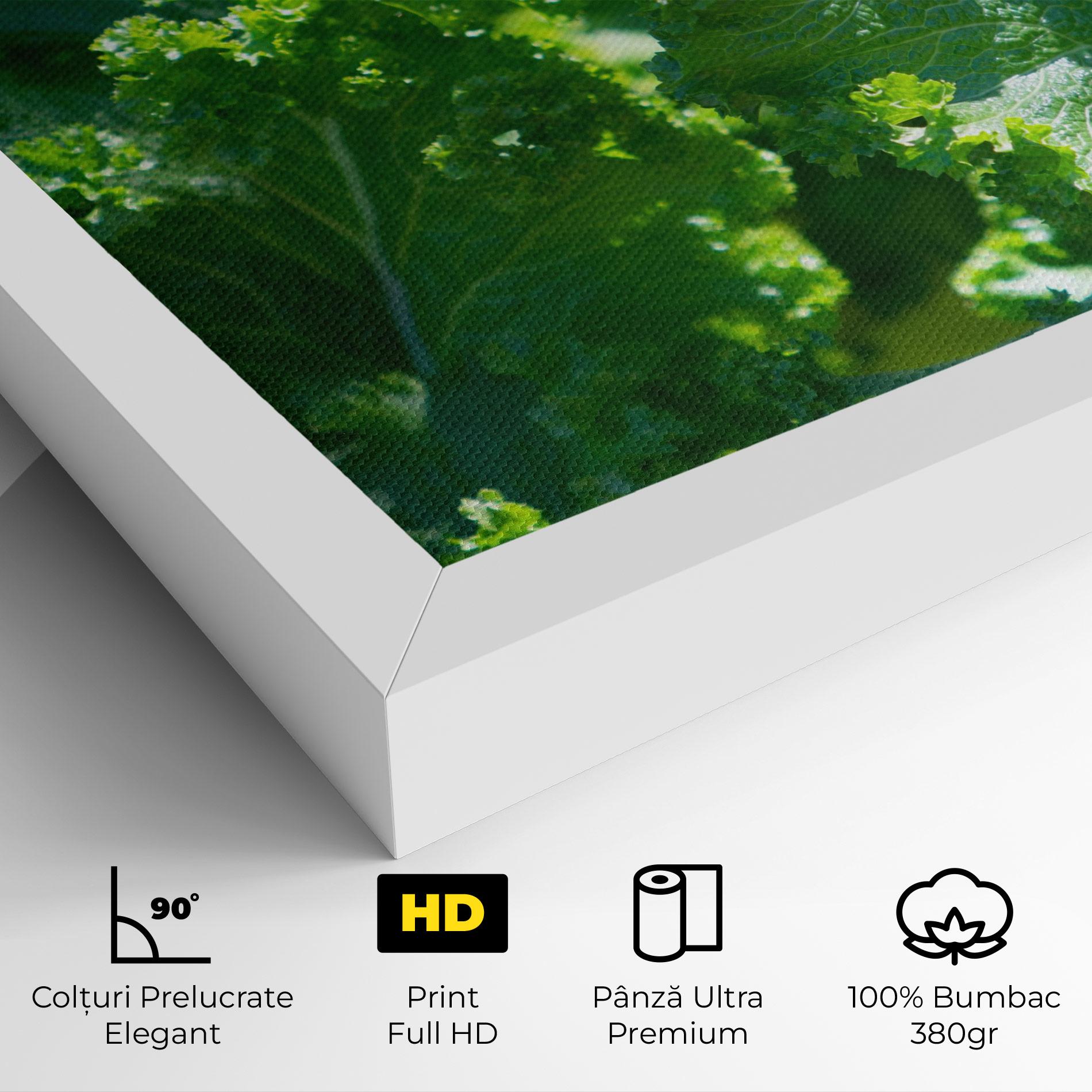 Tablou Canvas Lettuce View mockup 4
