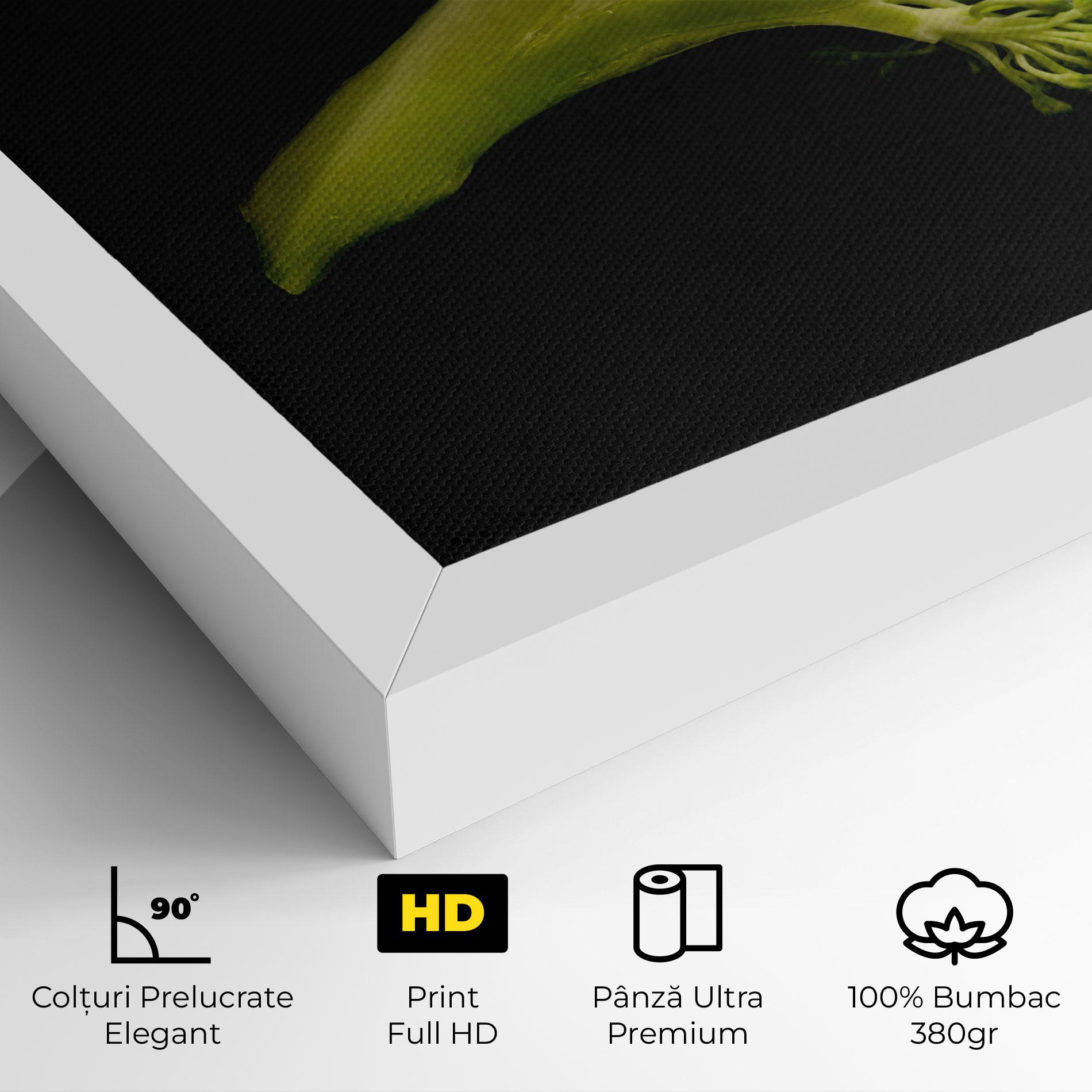 Tablou Canvas Nice Broccoli mockup 4