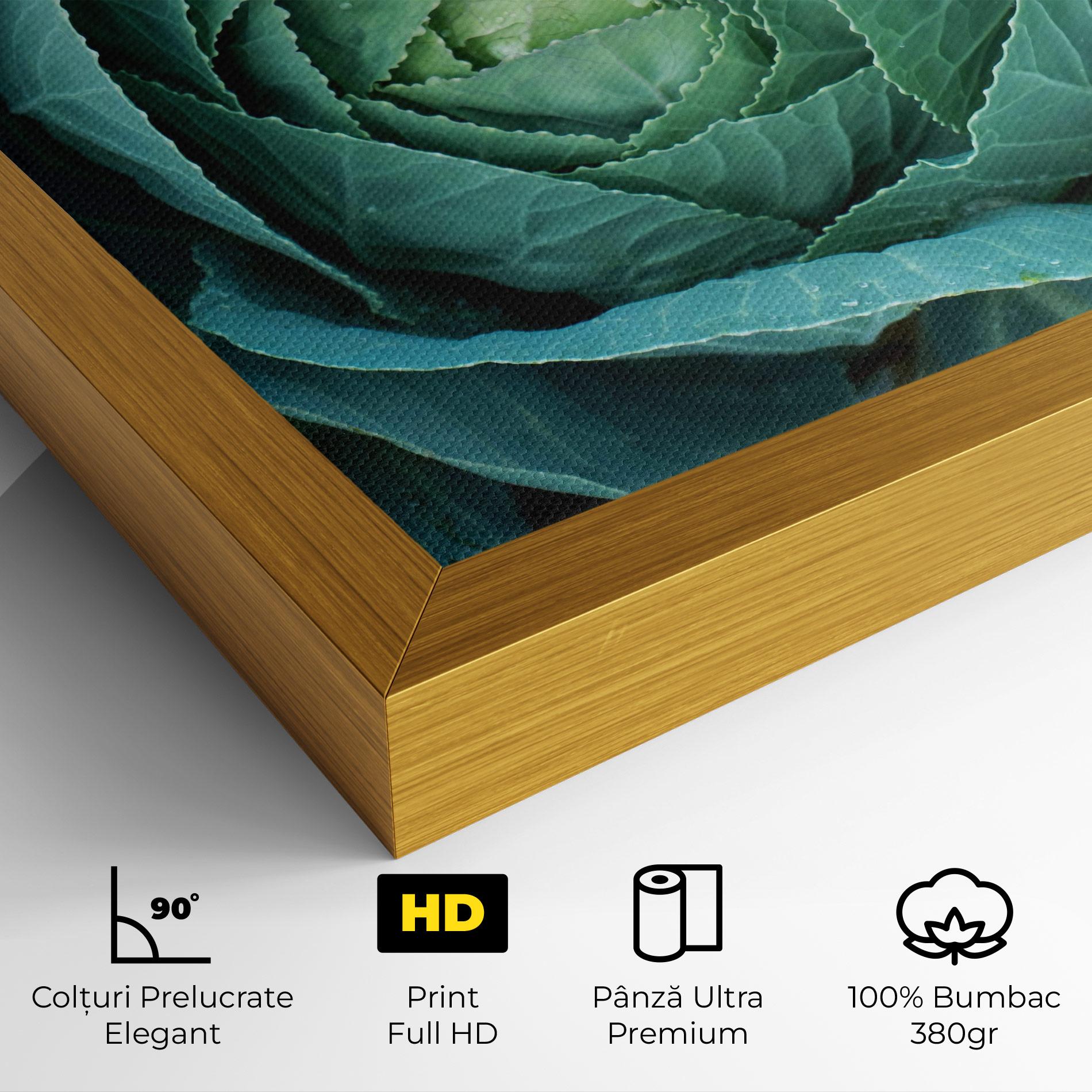 Tablou Canvas Blue Lettuce mockup 4