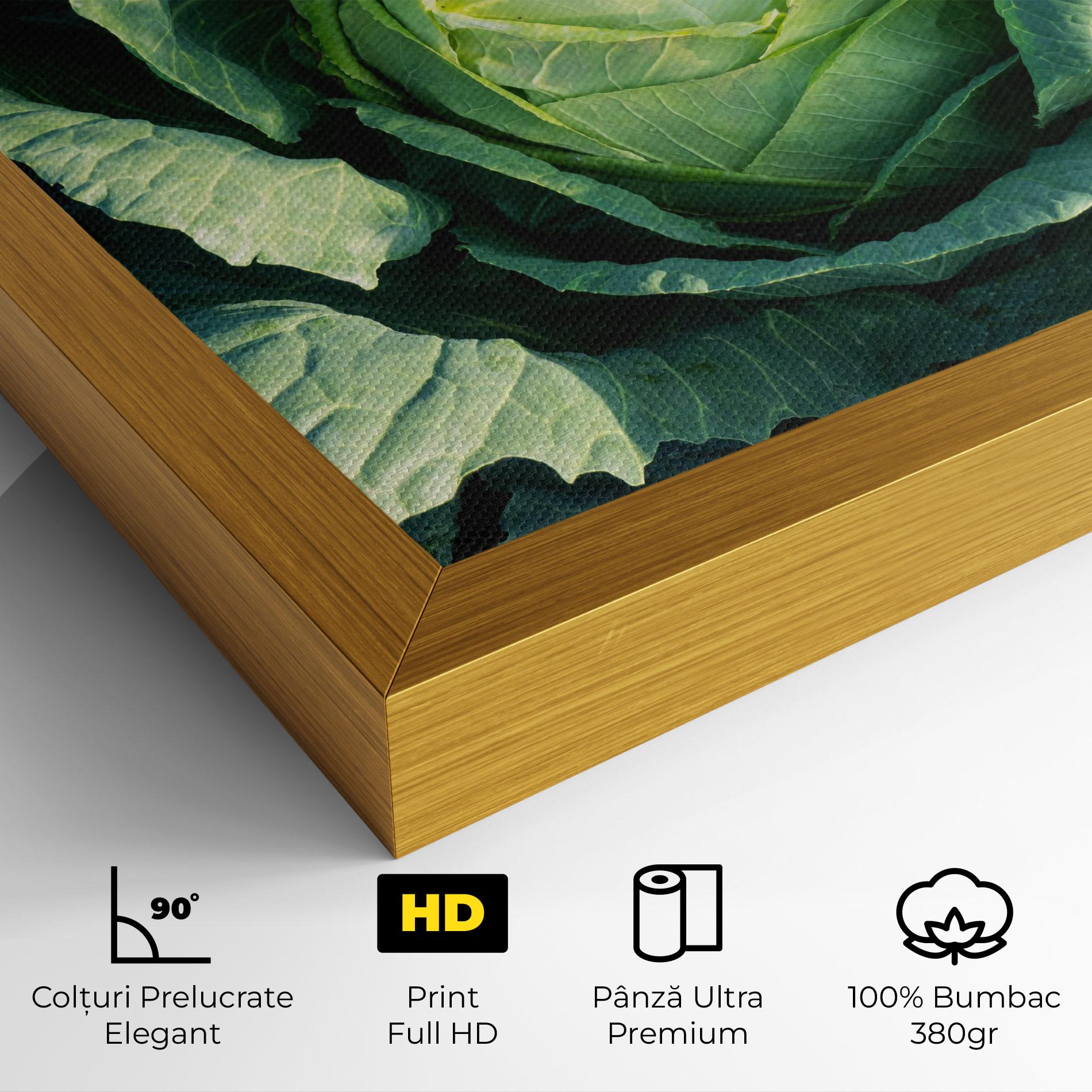 Tablou Canvas Green Lettuce mockup 4
