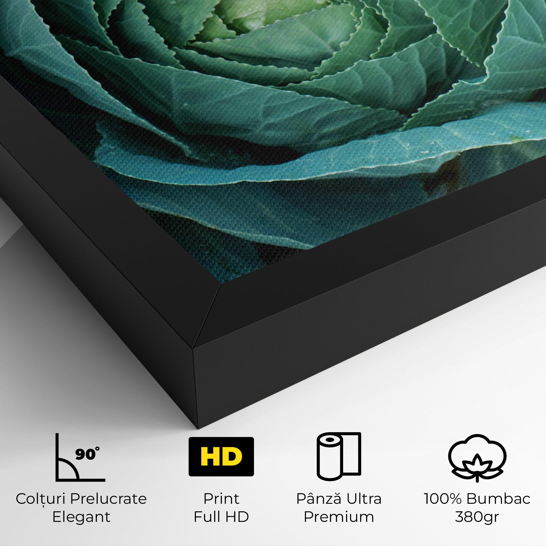 Tablou Canvas Blue Lettuce mockup 4