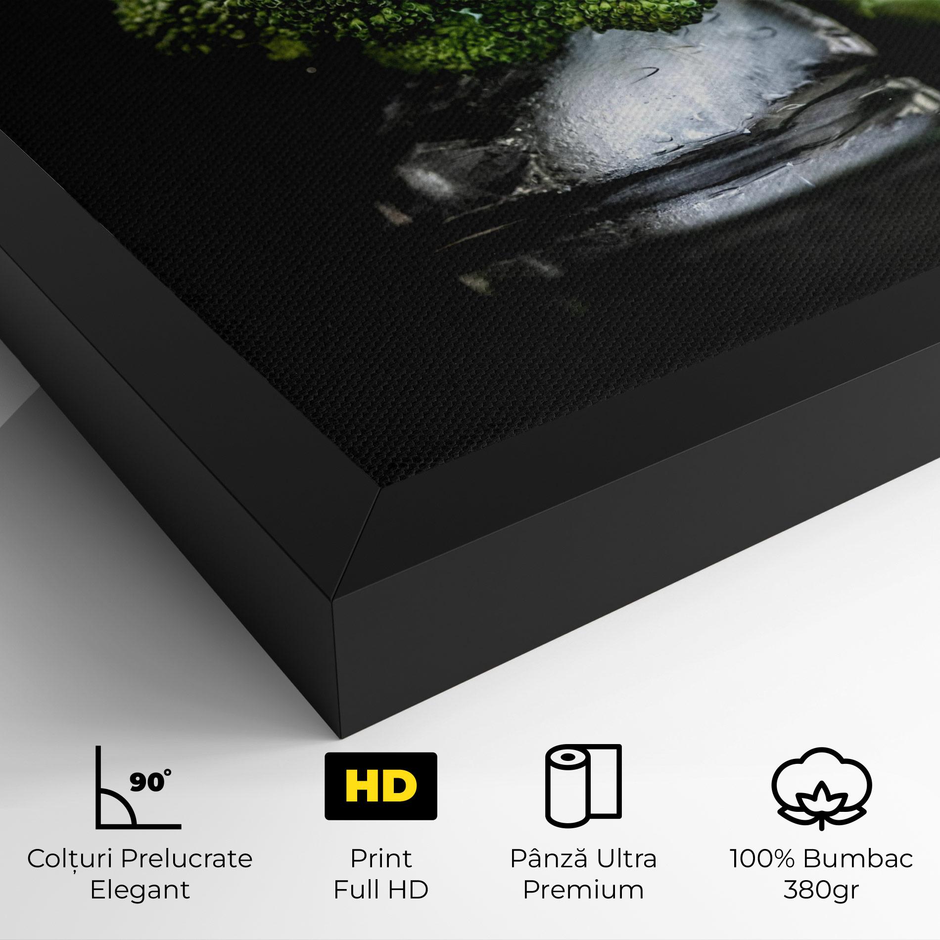 Tablou Canvas Broccoli Water mockup 4