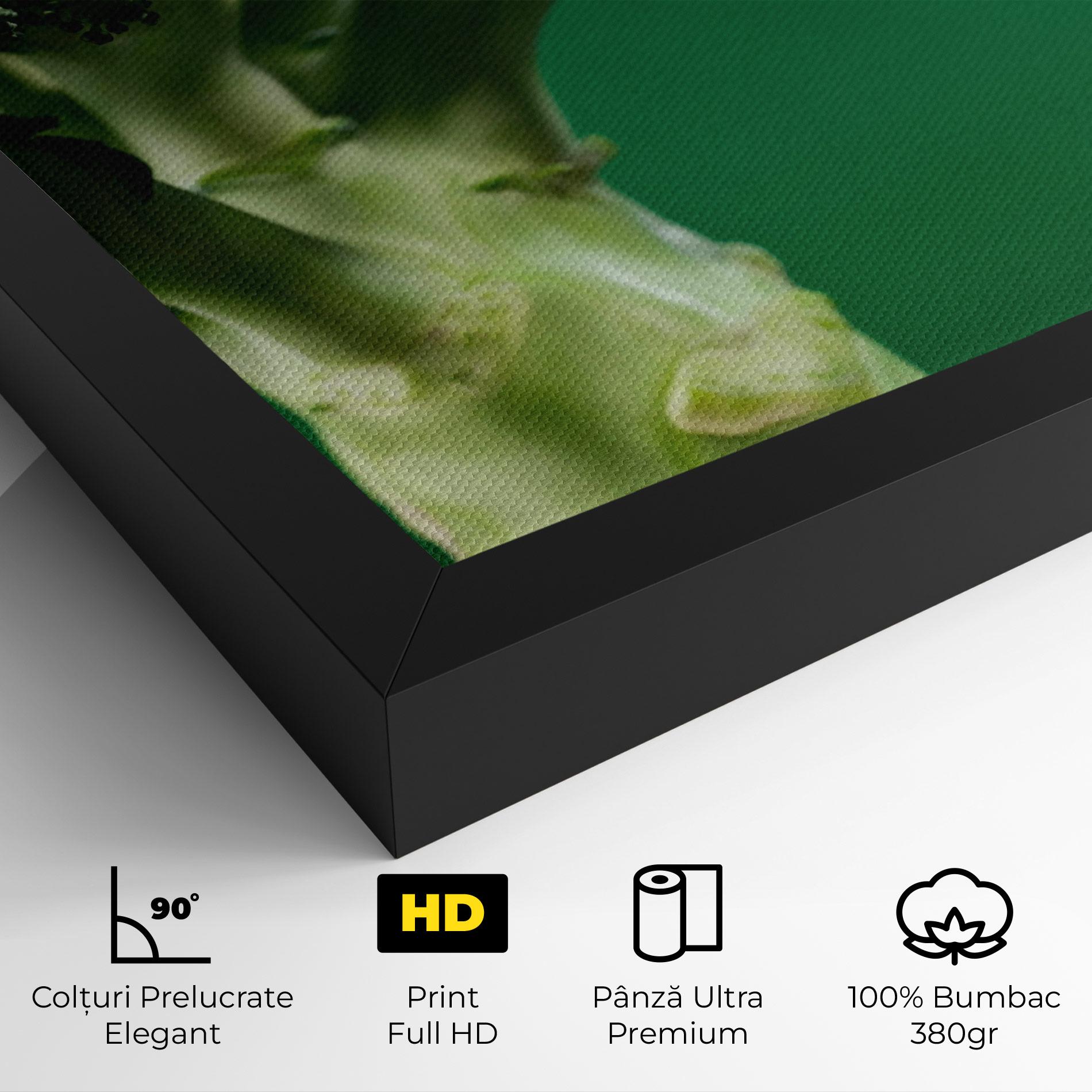 Tablou Canvas Broccoli mockup 4