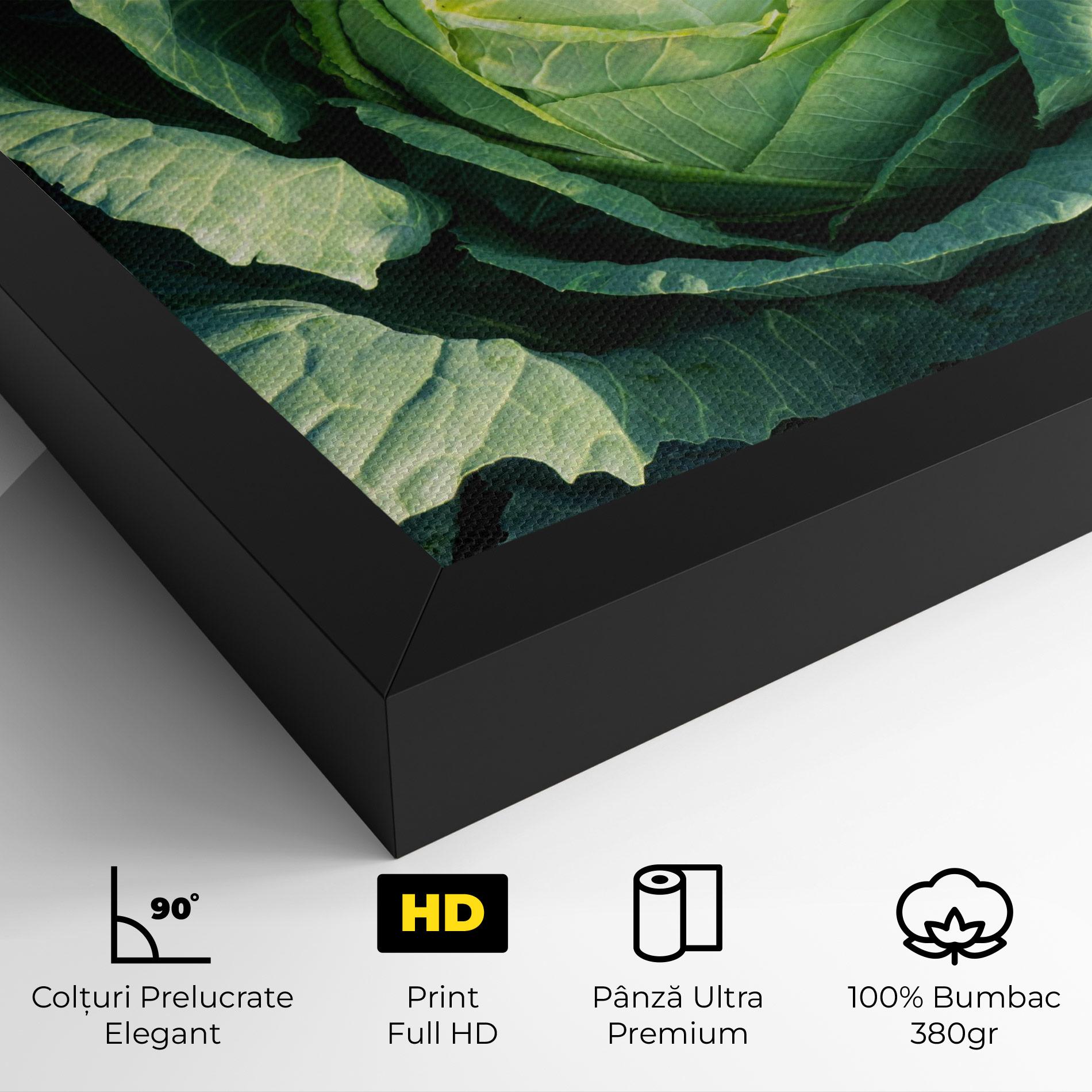 Tablou Canvas Green Lettuce mockup 4