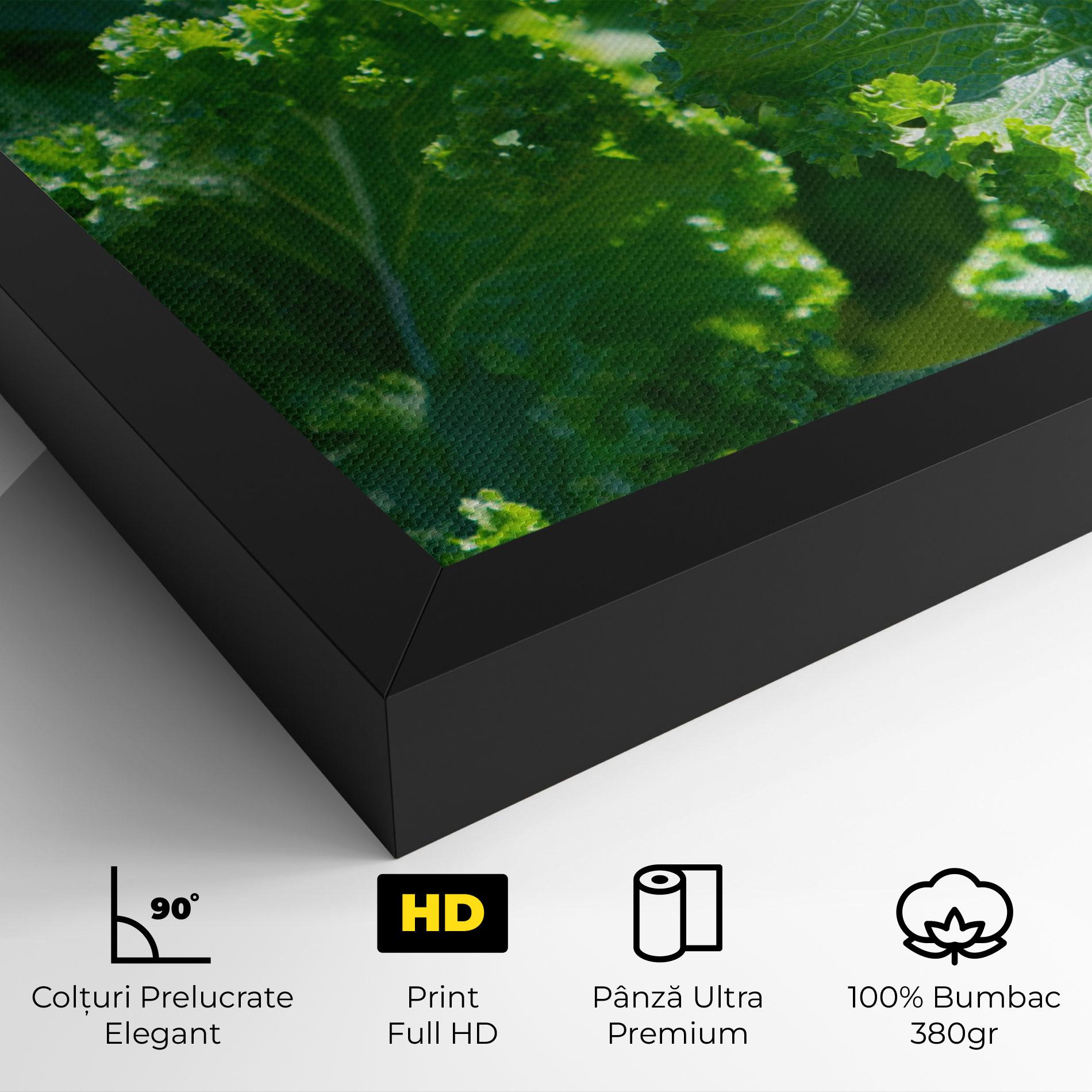 Tablou Canvas Lettuce View mockup 4