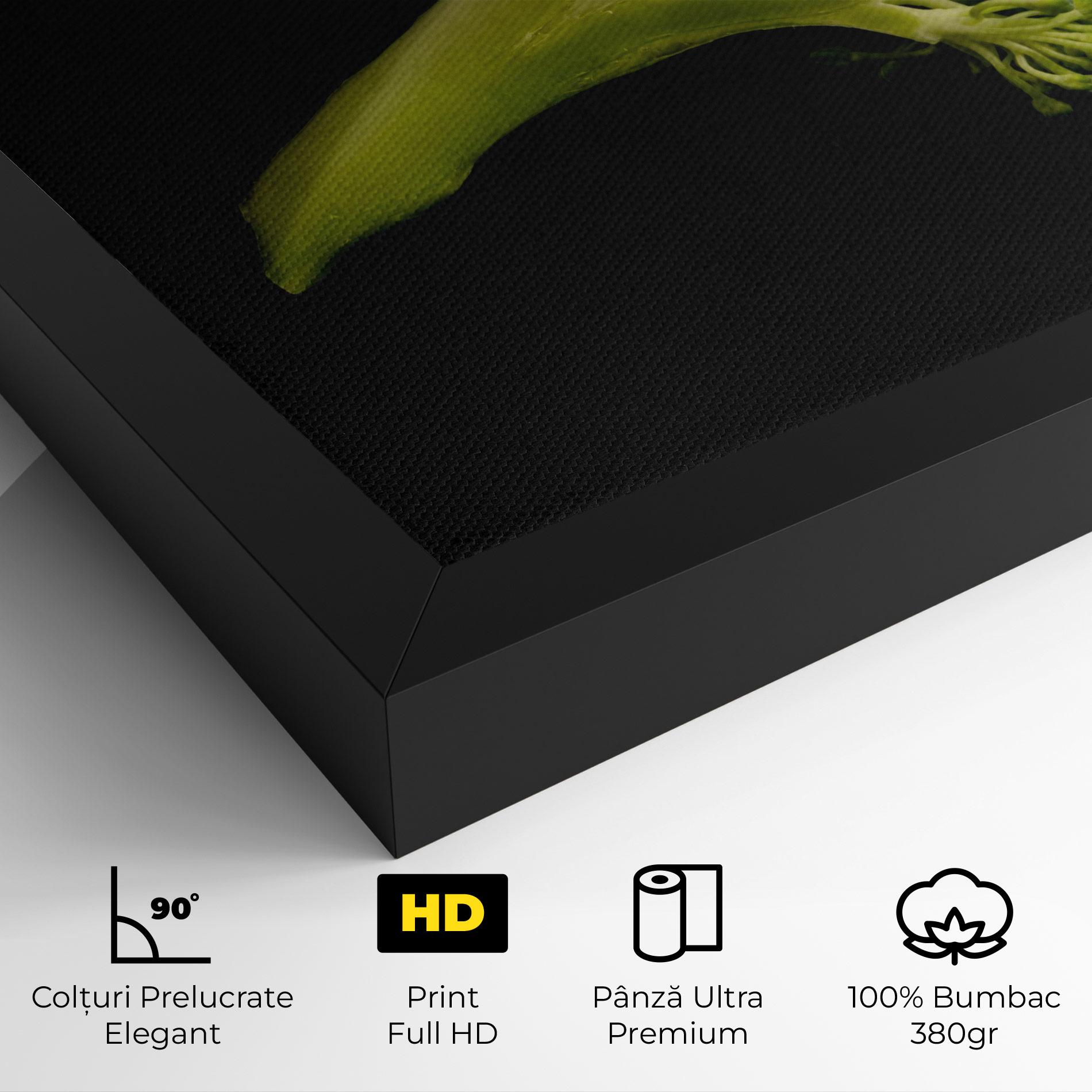 Tablou Canvas Nice Broccoli mockup 4
