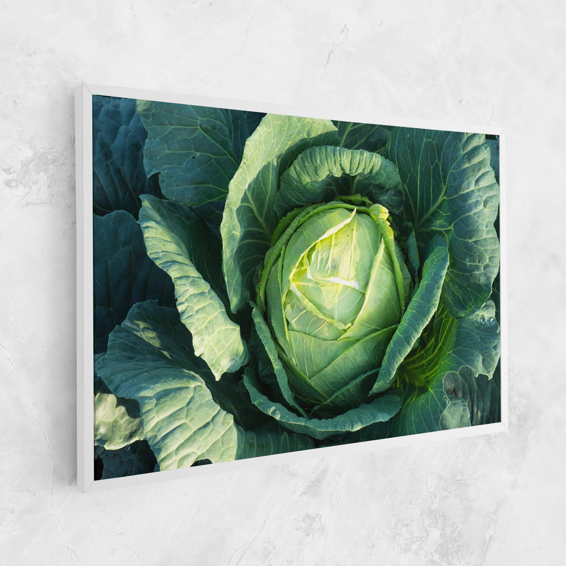 Tablou Canvas Green Lettuce mockup 1