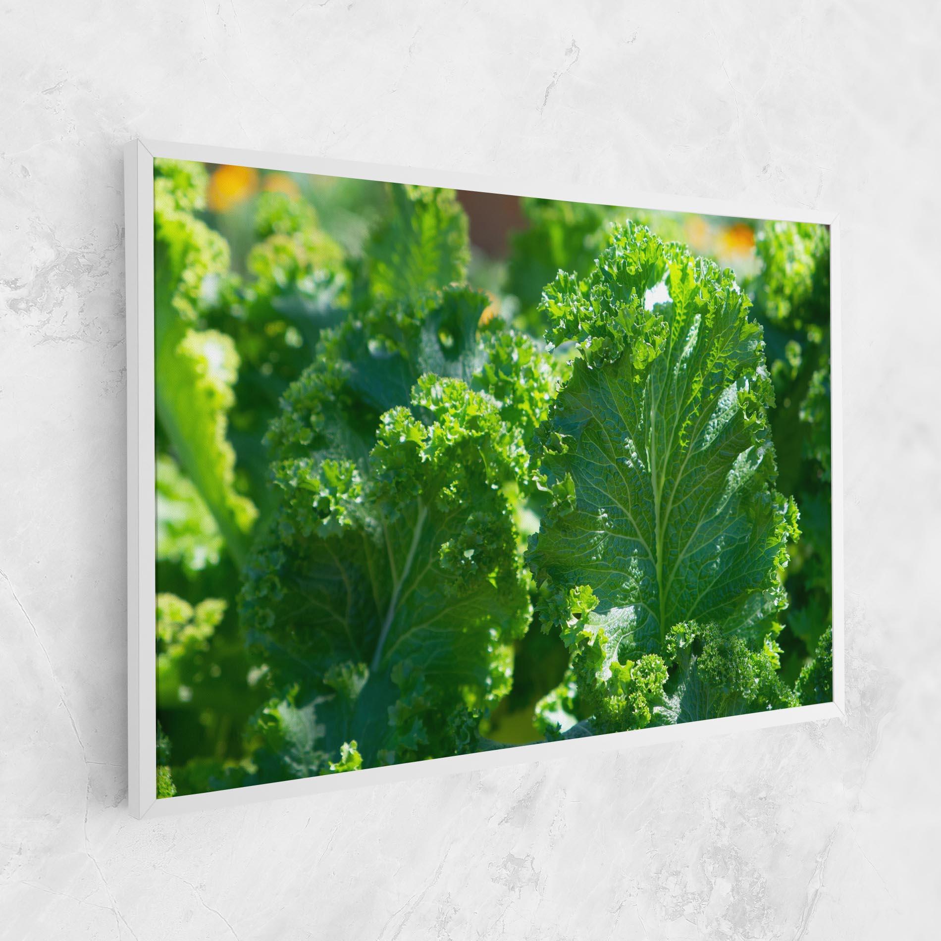 Tablou Canvas Lettuce View mockup 1