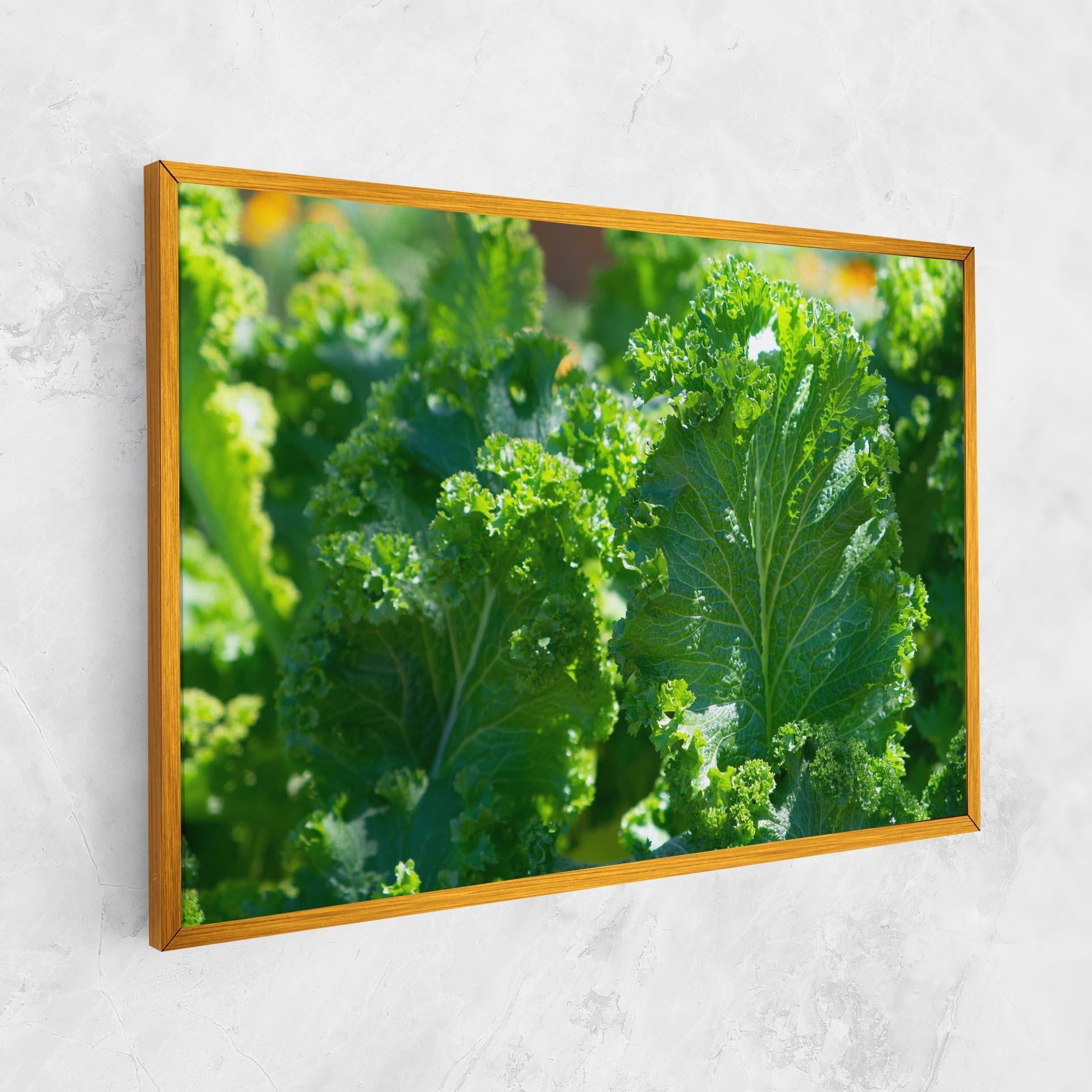 Tablou Canvas Lettuce View mockup 1