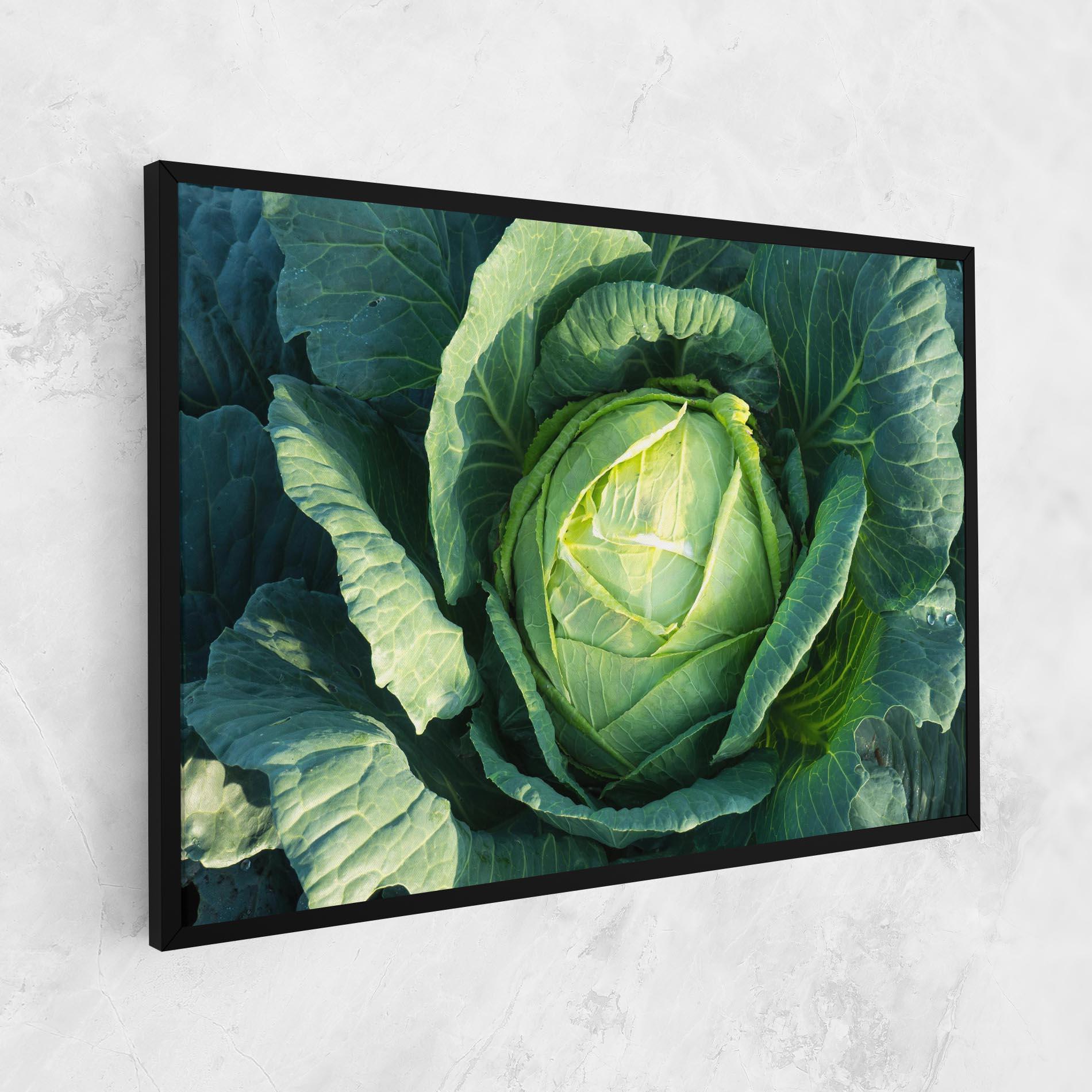 Tablou Canvas Green Lettuce mockup 1