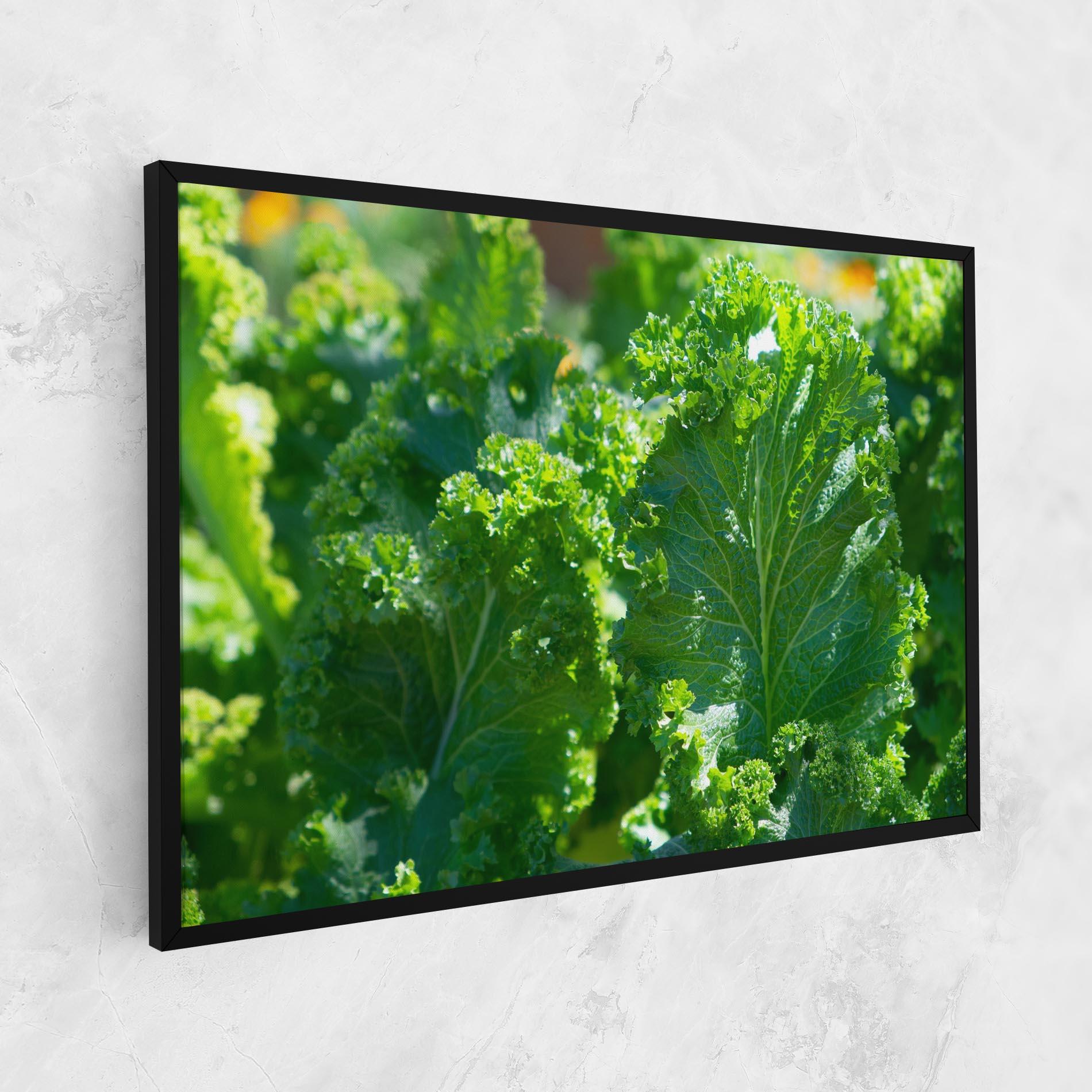 Tablou Canvas Lettuce View mockup 1