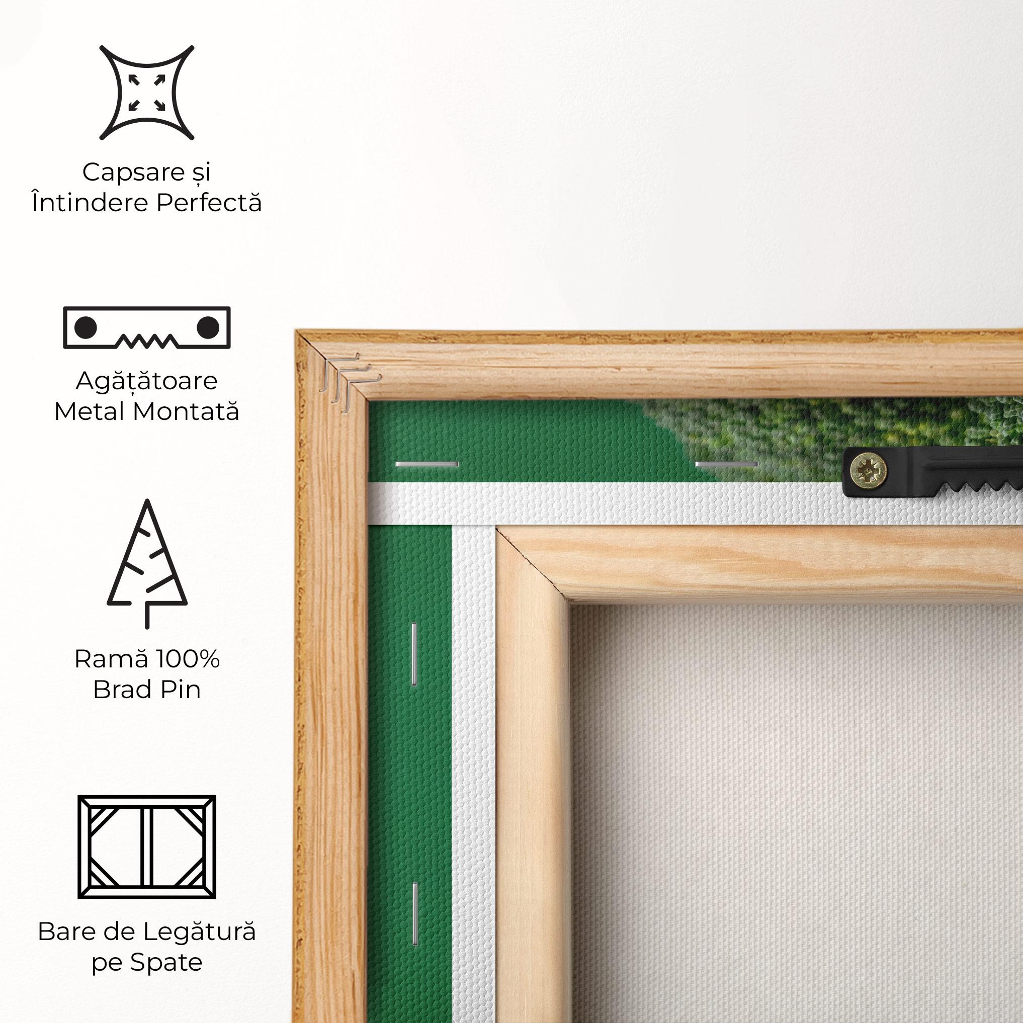 Tablou Canvas Broccoli mockup 5