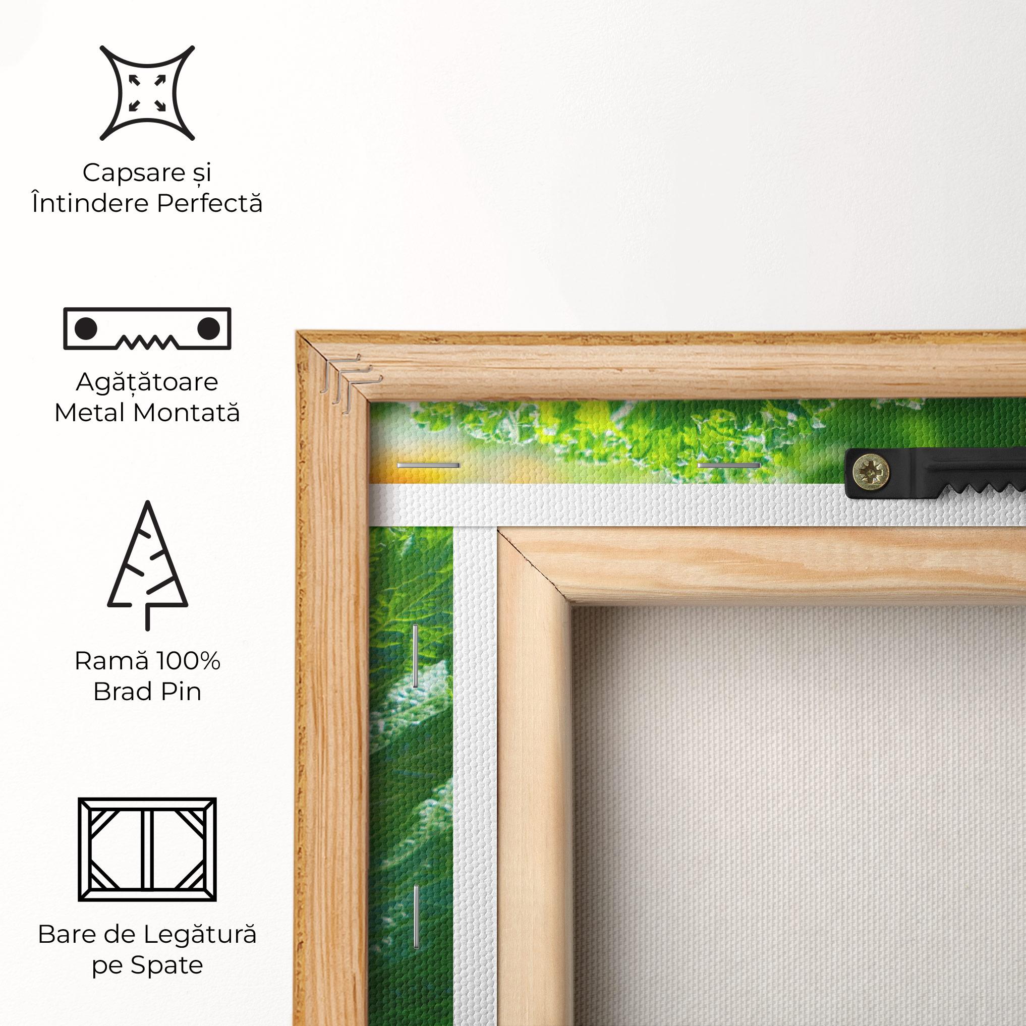 Tablou Canvas Lettuce View mockup 5