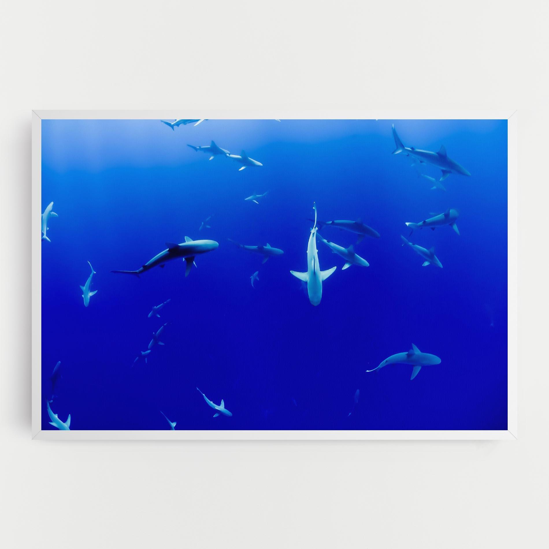 Tablou Canvas Baby Sharks mockup 0