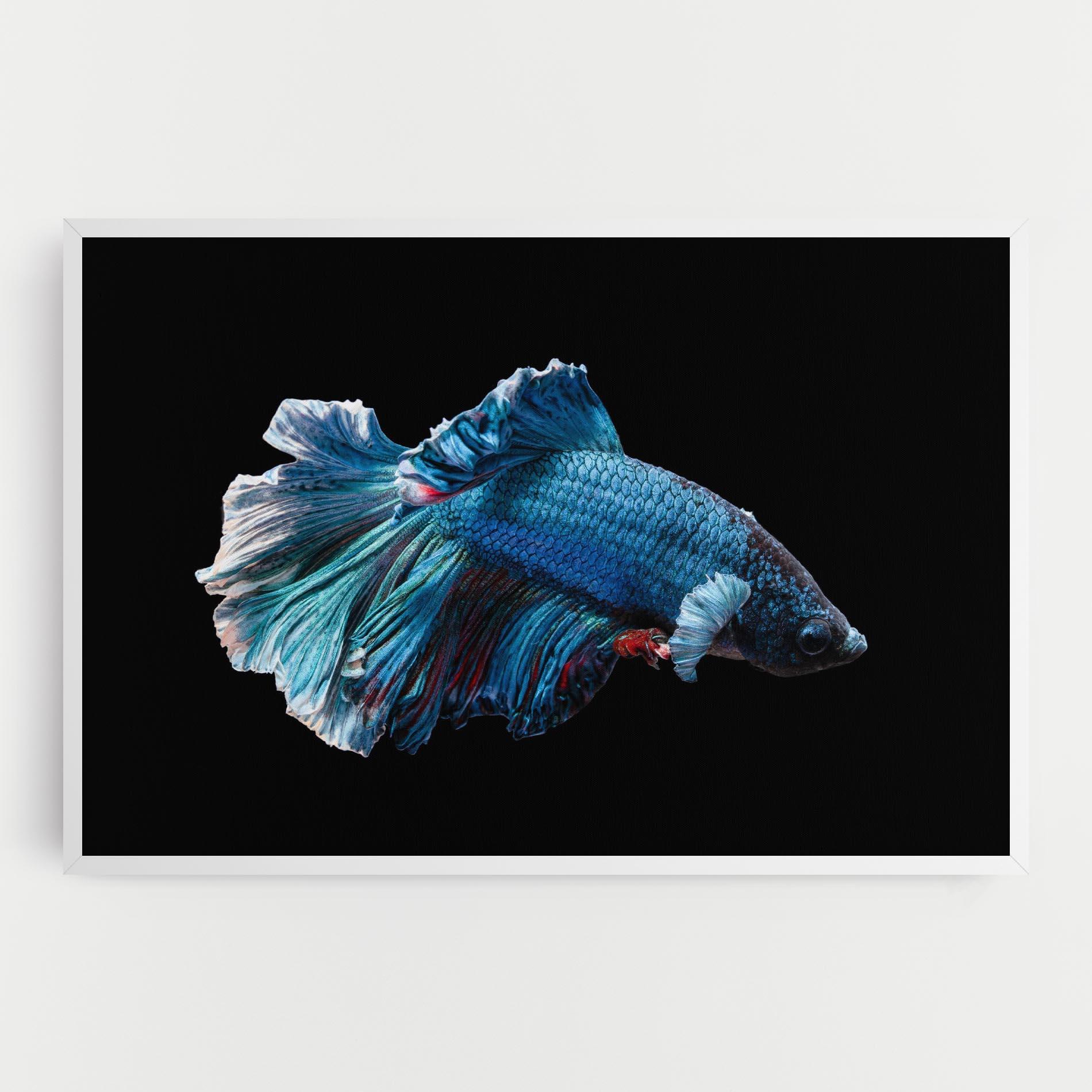 Tablou Canvas Blue Betta mockup 0