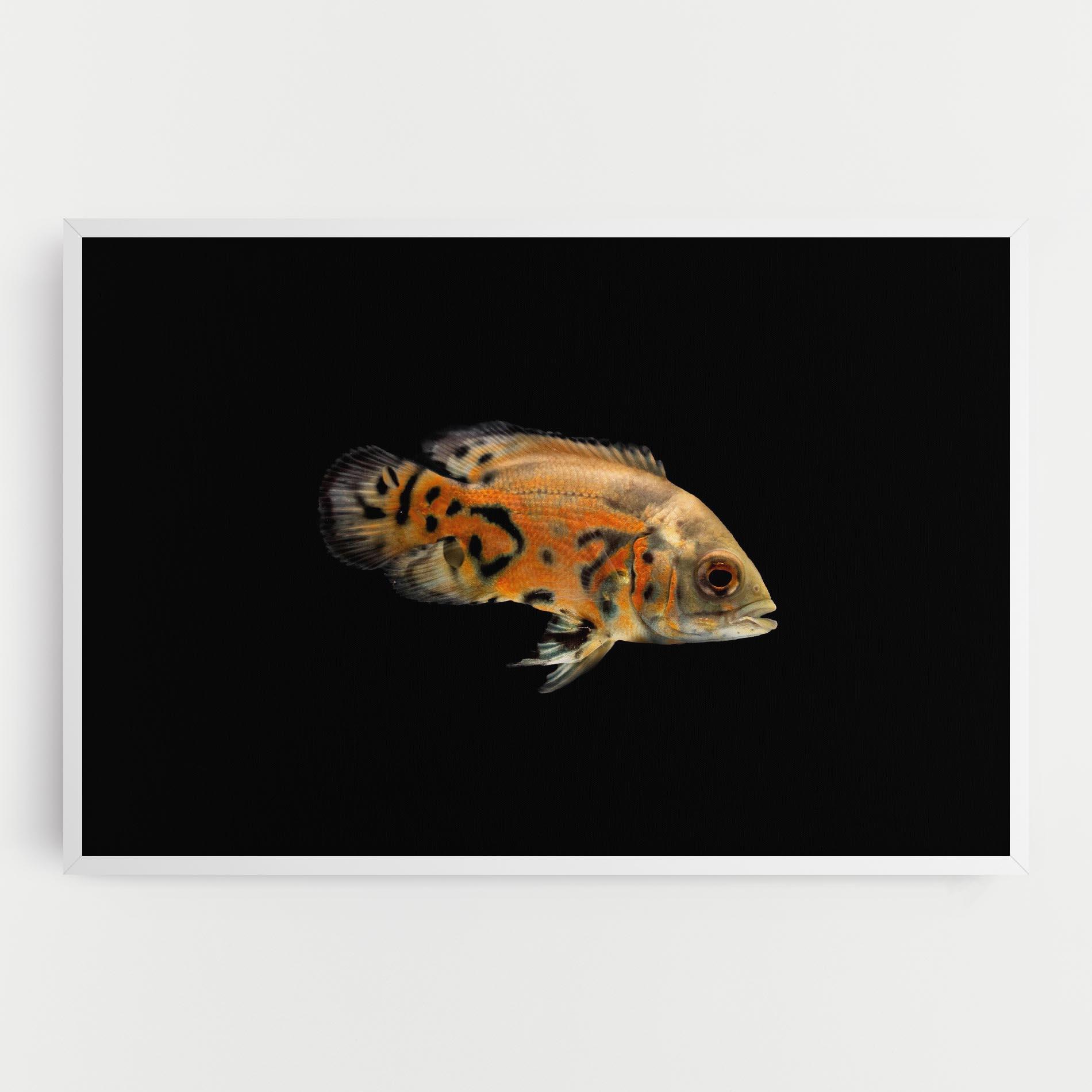 Tablou Canvas Cute Brown Fish mockup 0