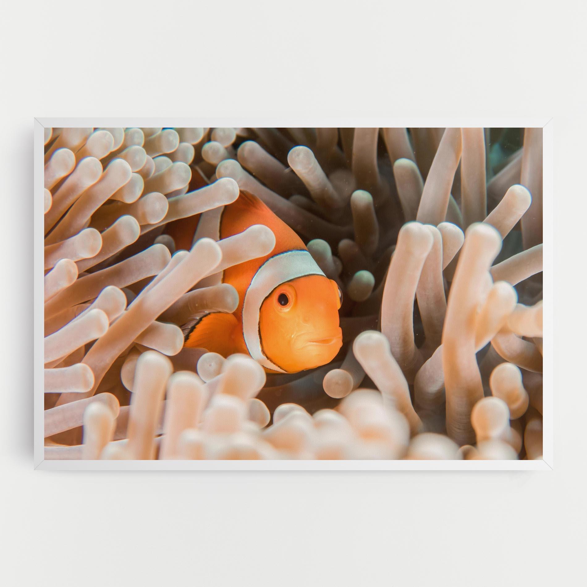 Tablou Canvas Cute Nemo mockup 0