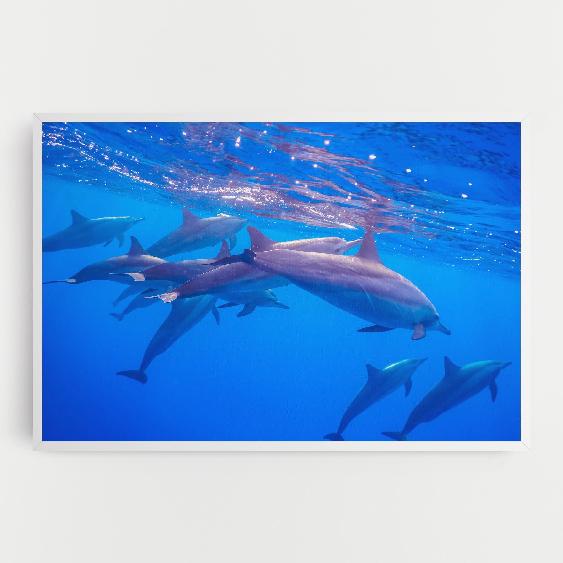Tablou Canvas Dolphin Family mockup 0