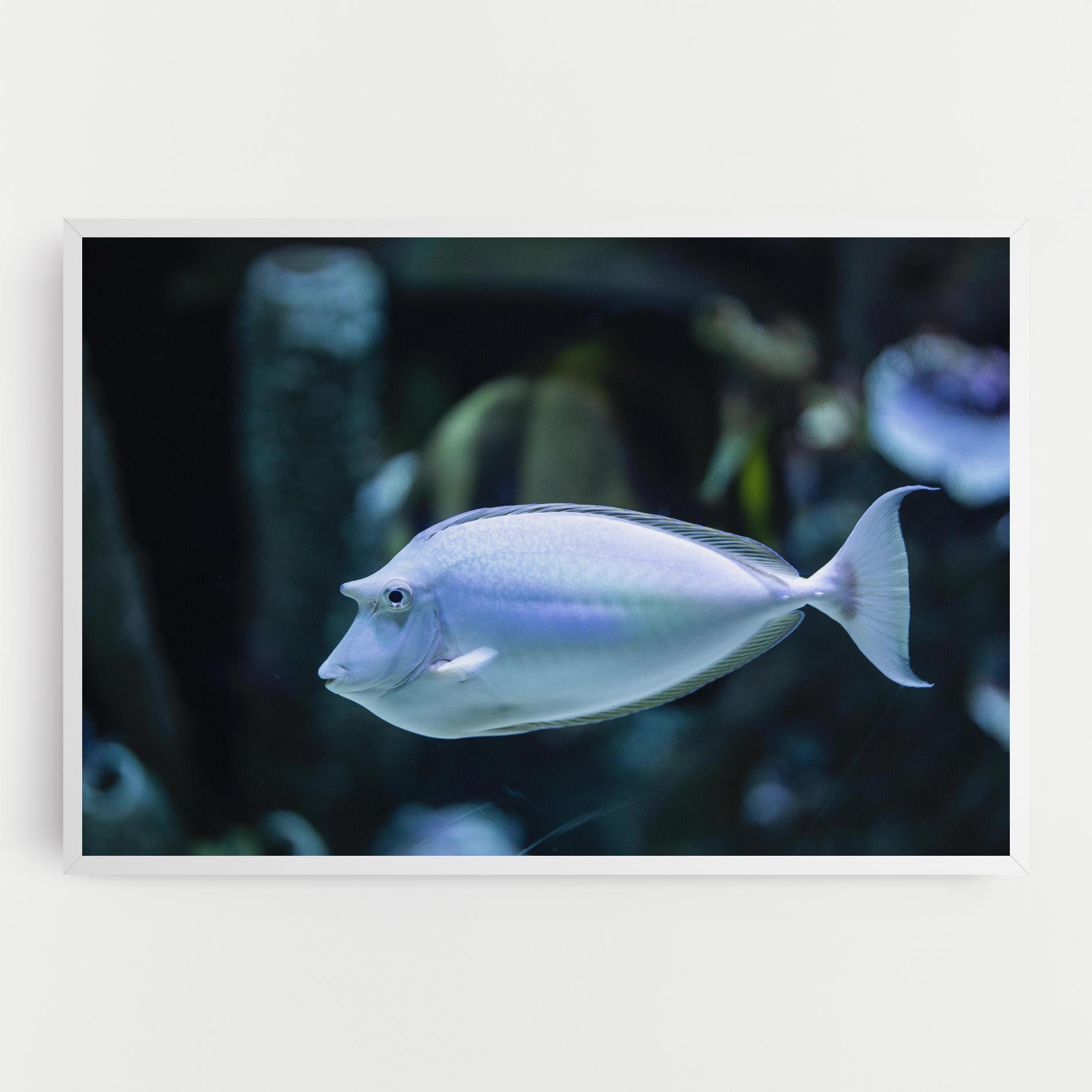 Tablou Canvas Funny Face Fish mockup 0