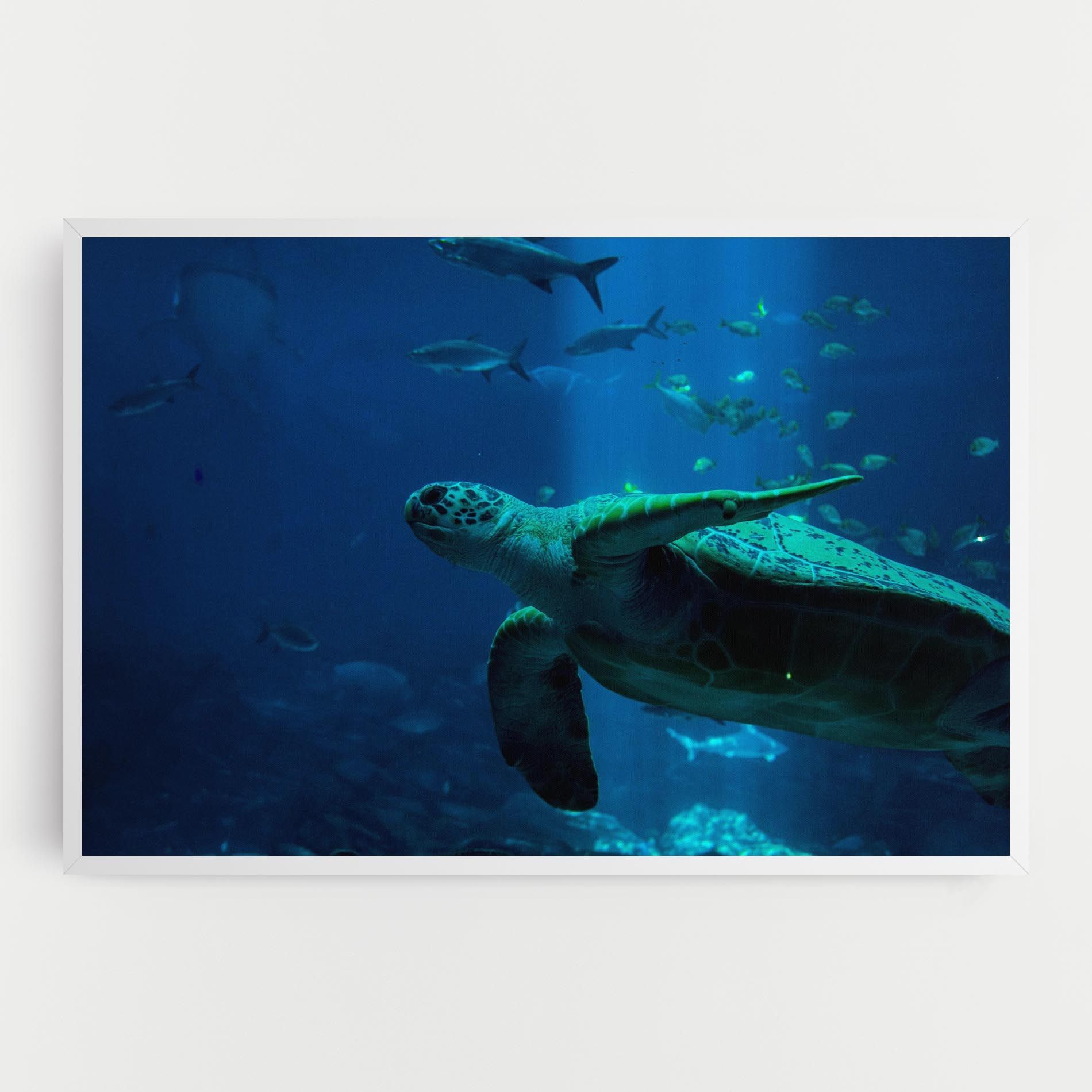 Green Turtule mockup 0