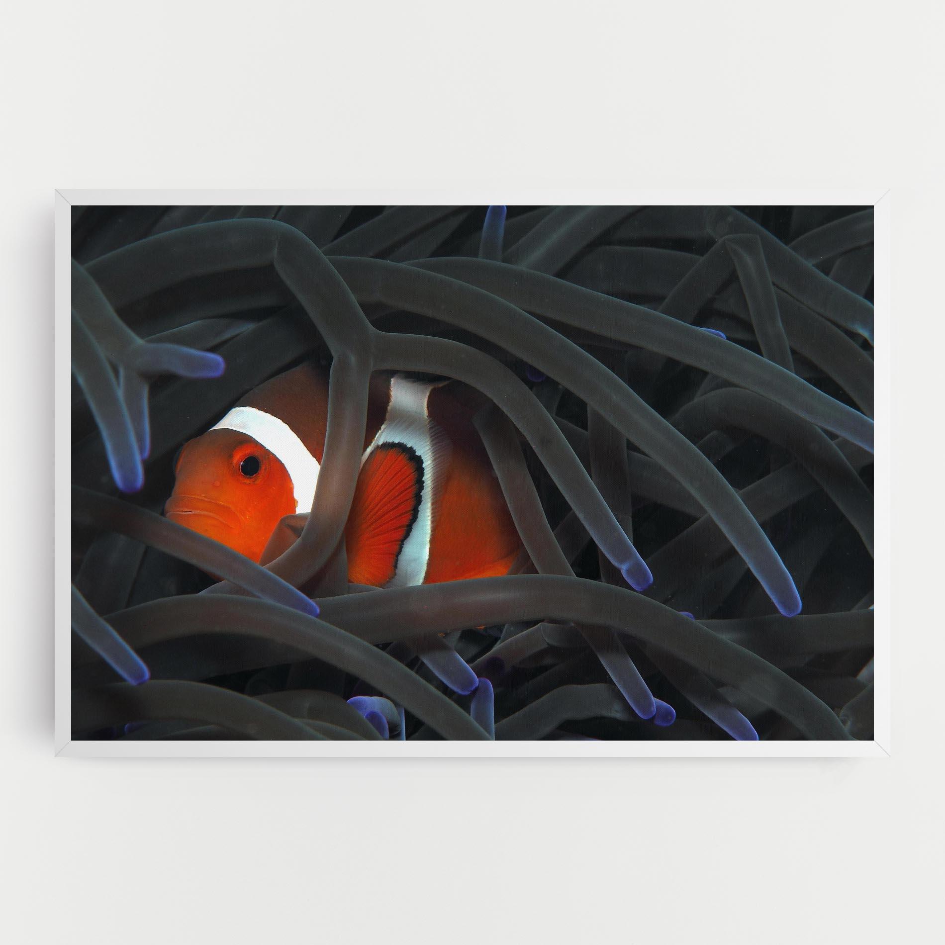 Tablou Canvas Nemo Hiding mockup 0