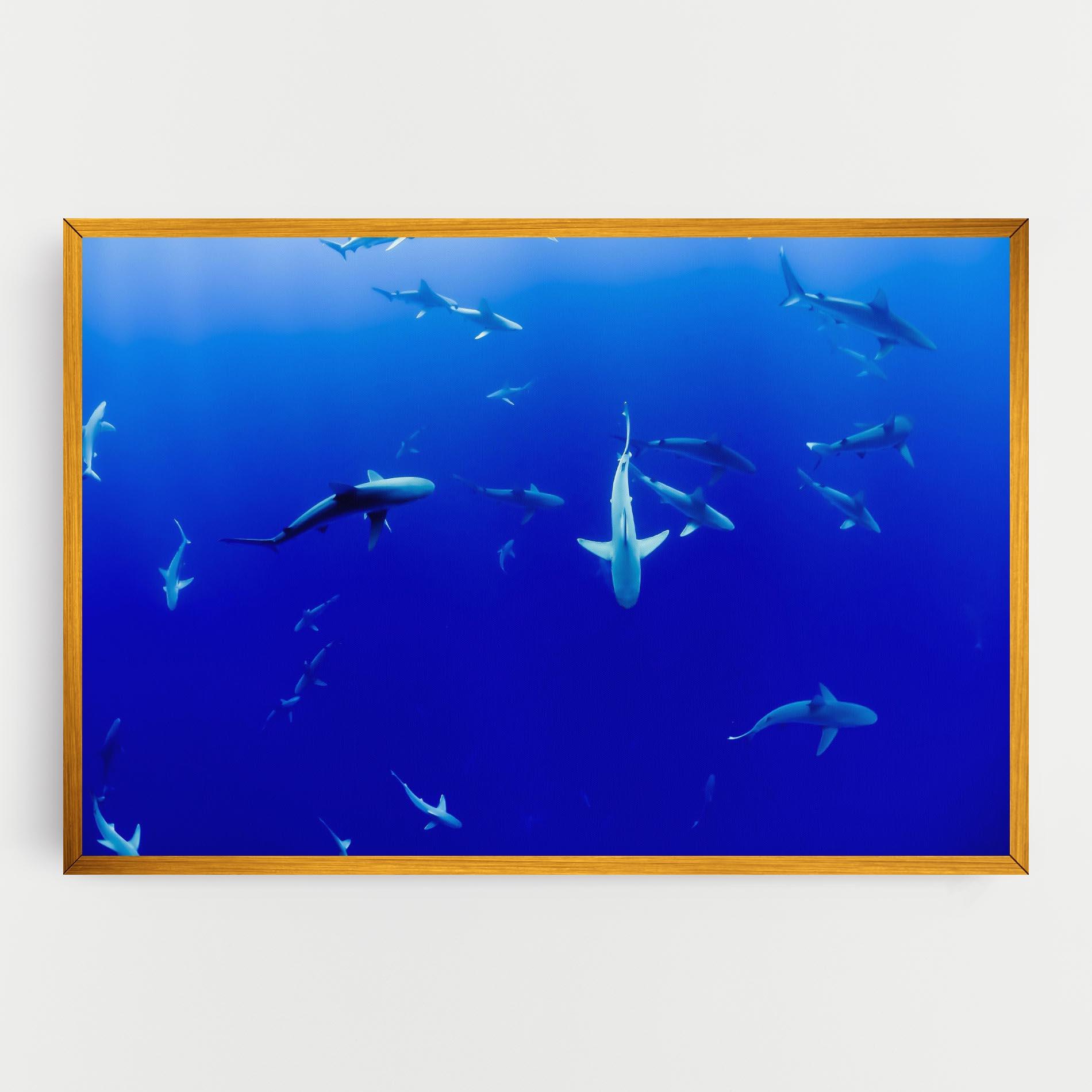 Tablou Canvas Baby Sharks mockup 0