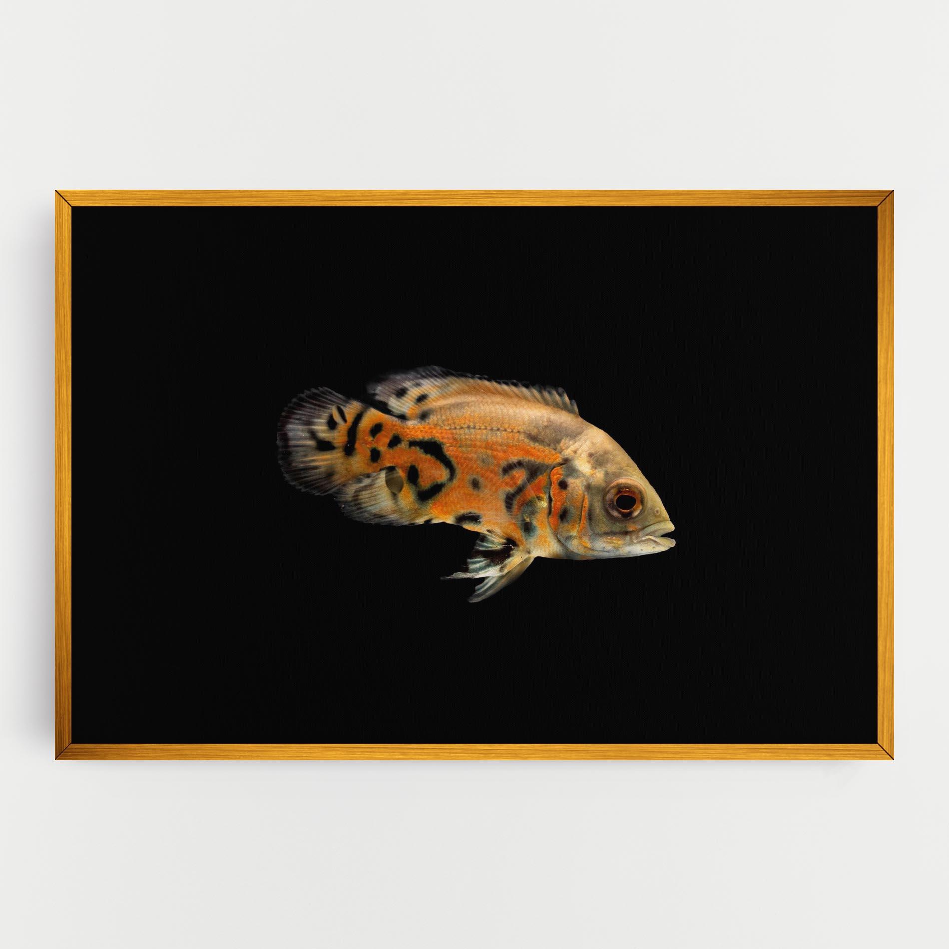 Tablou Canvas Cute Brown Fish mockup 0