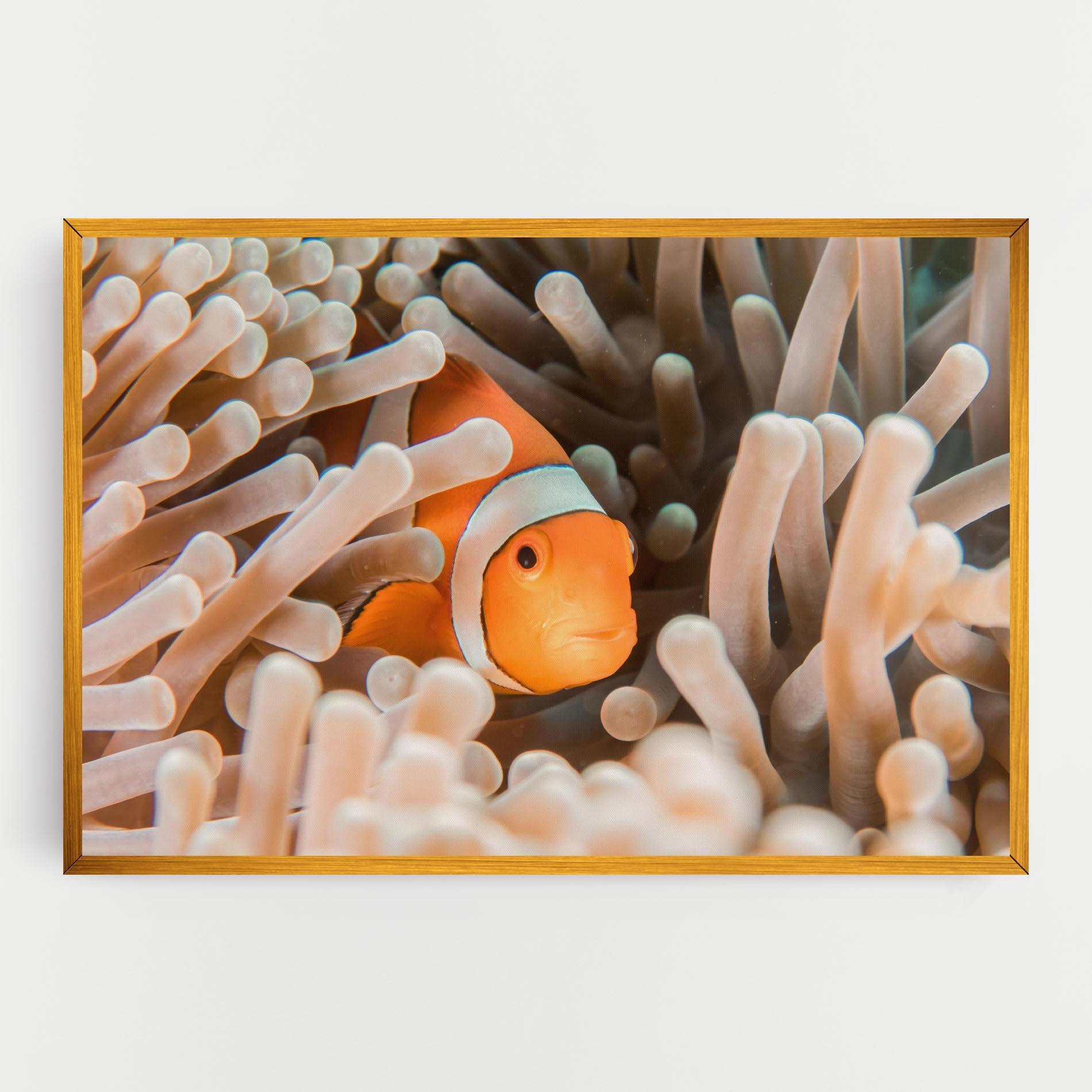 Tablou Canvas Cute Nemo mockup 0