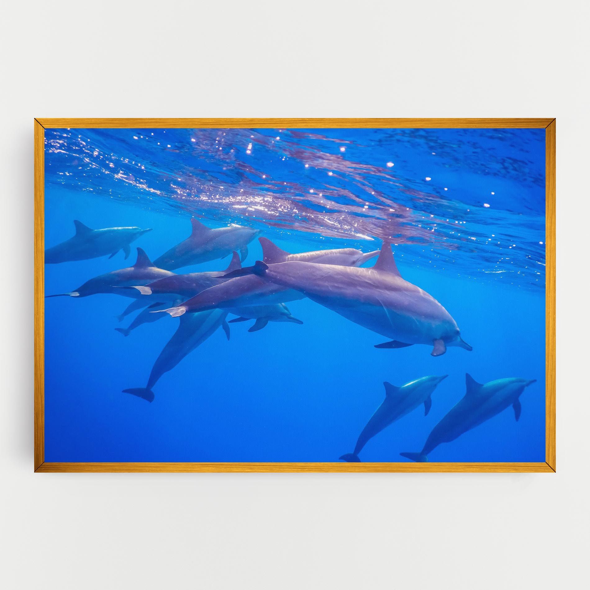 Dolphin Family mockup 0