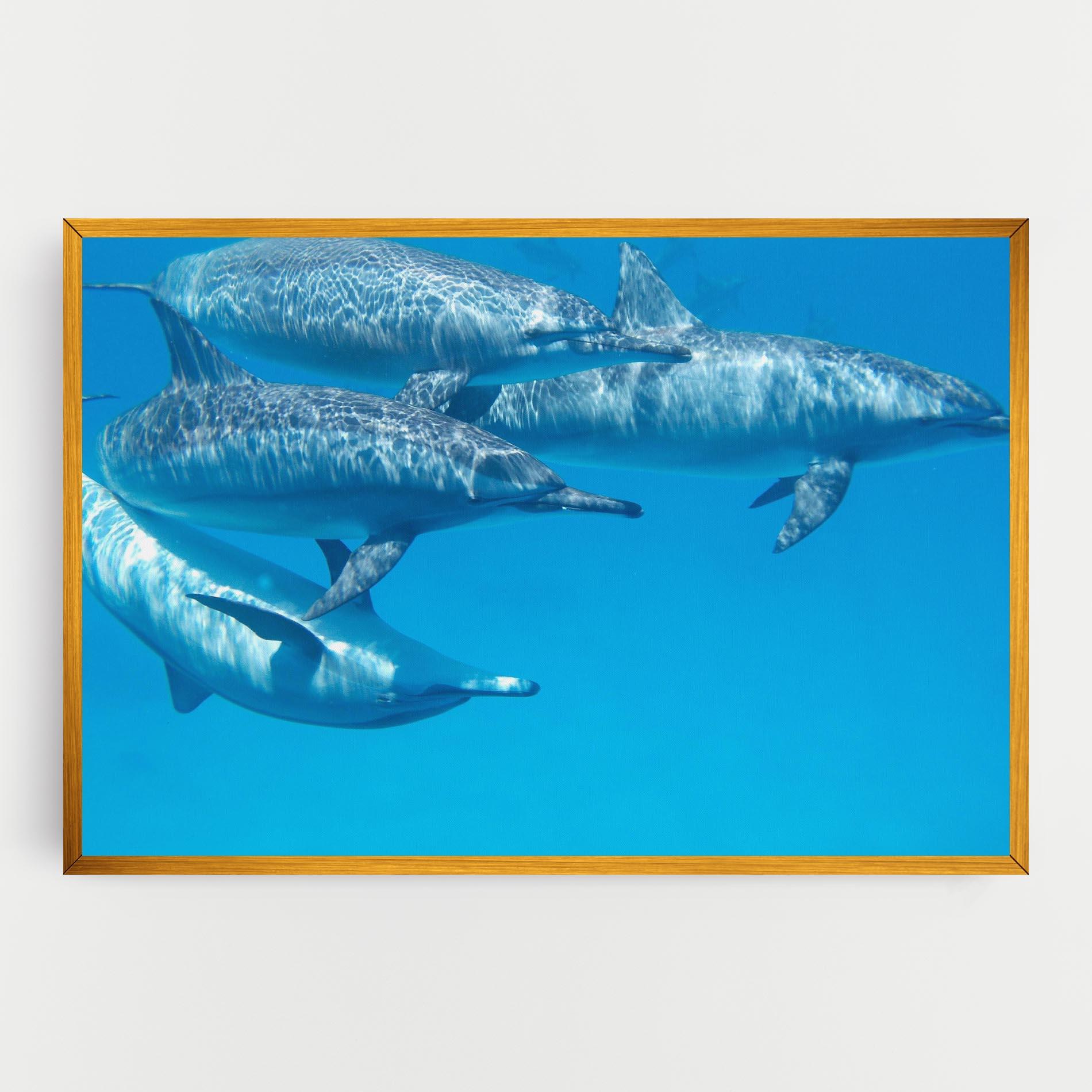 Tablou Canvas Family Of Dolphins mockup 0