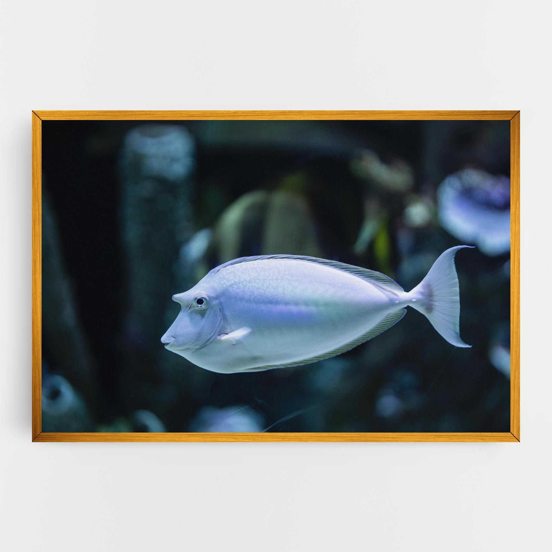 Funny Face Fish mockup 0