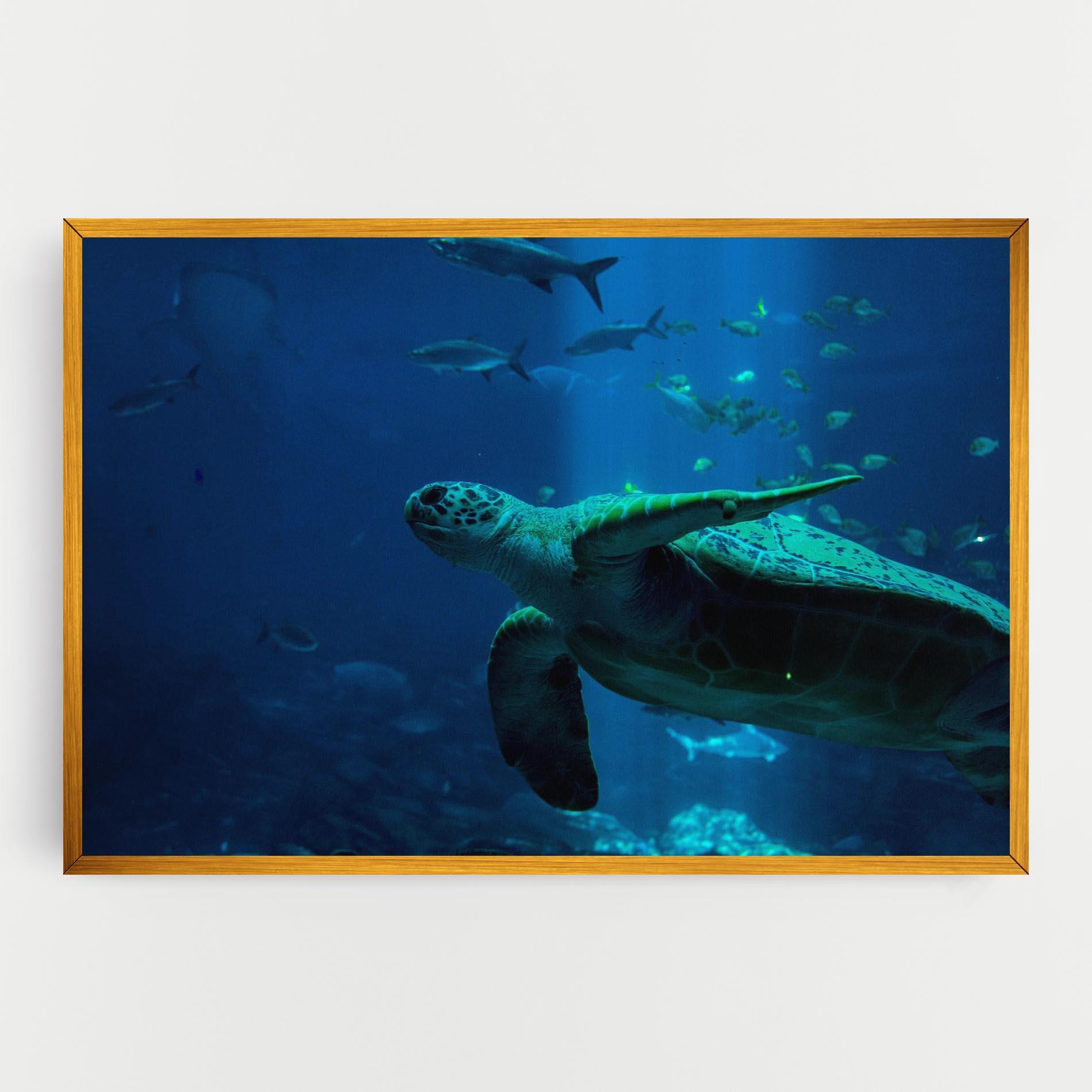 Tablou Canvas Green Turtule mockup 0