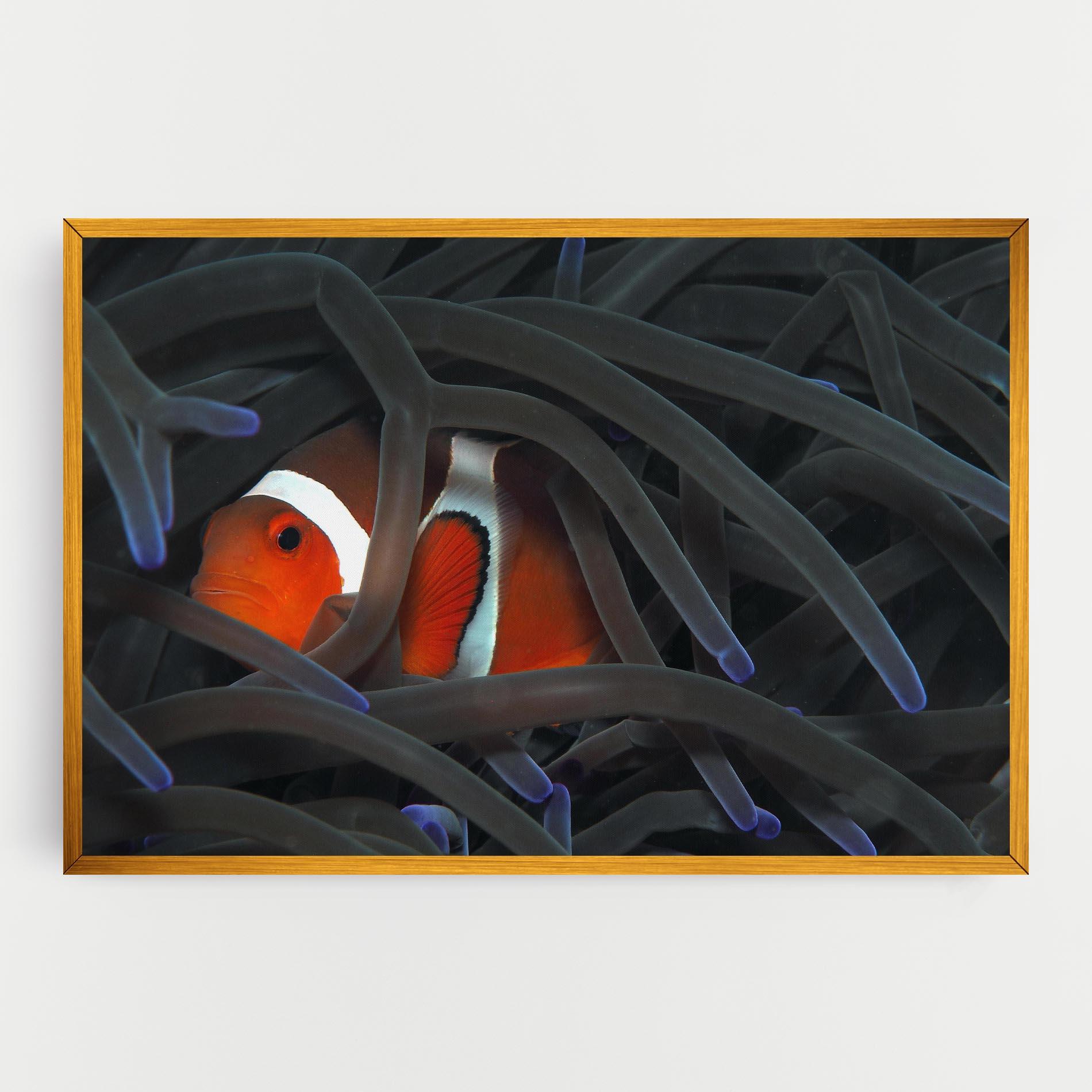 Tablou Canvas Nemo Hiding mockup 0